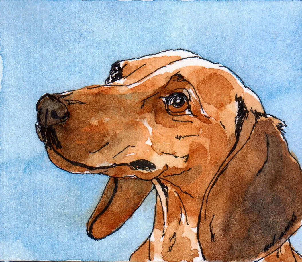 inktober11 Dachshund.jpg