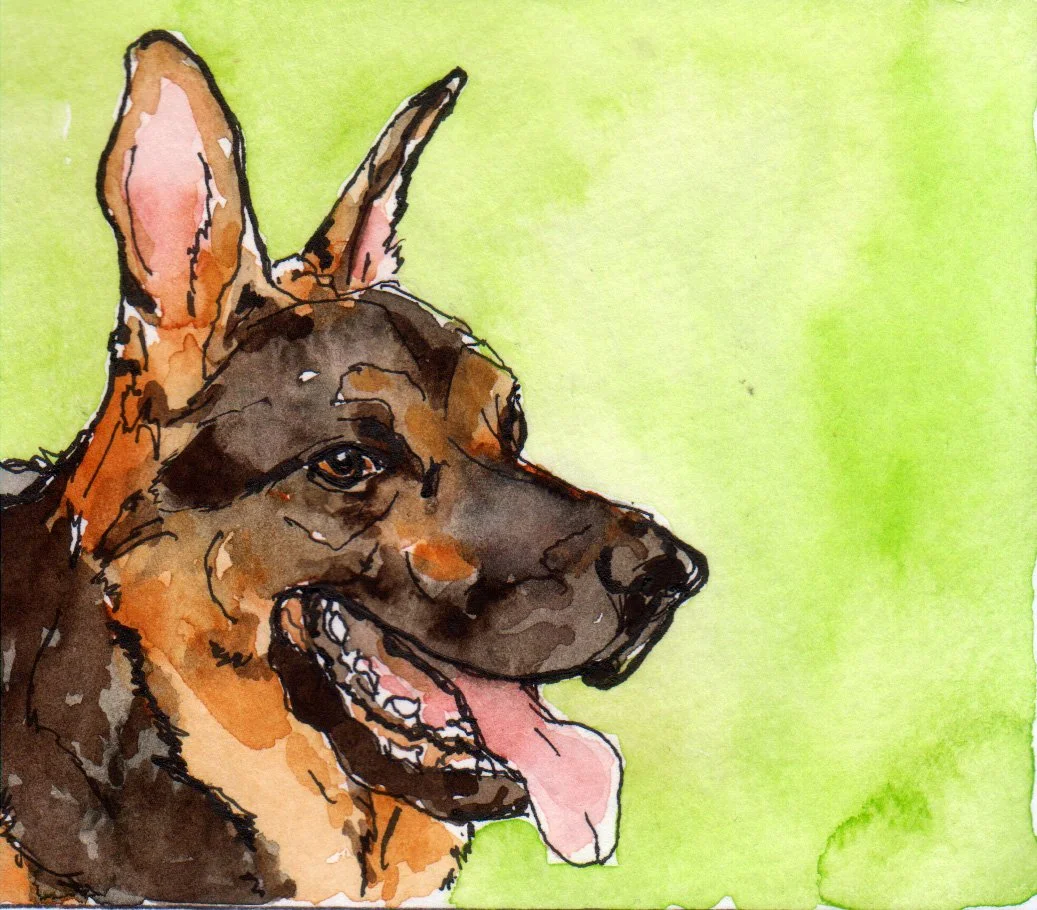 inktober12 German Shepherd.jpg