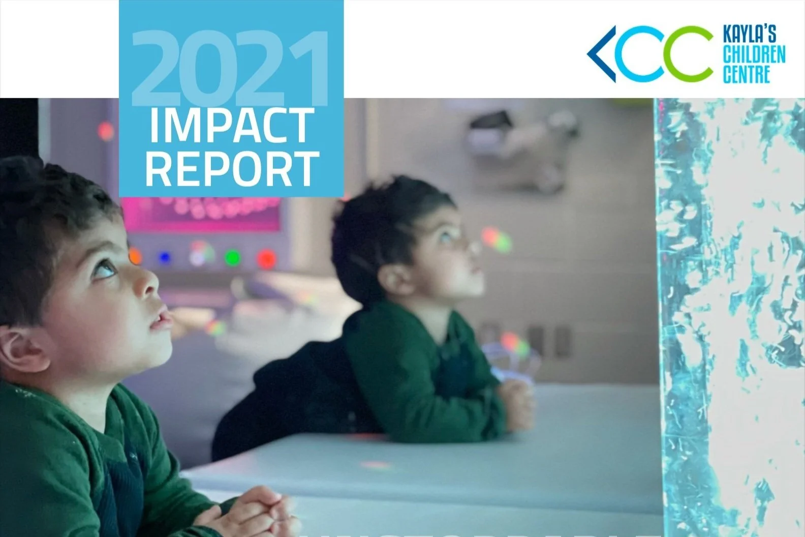 Impact Report 2021