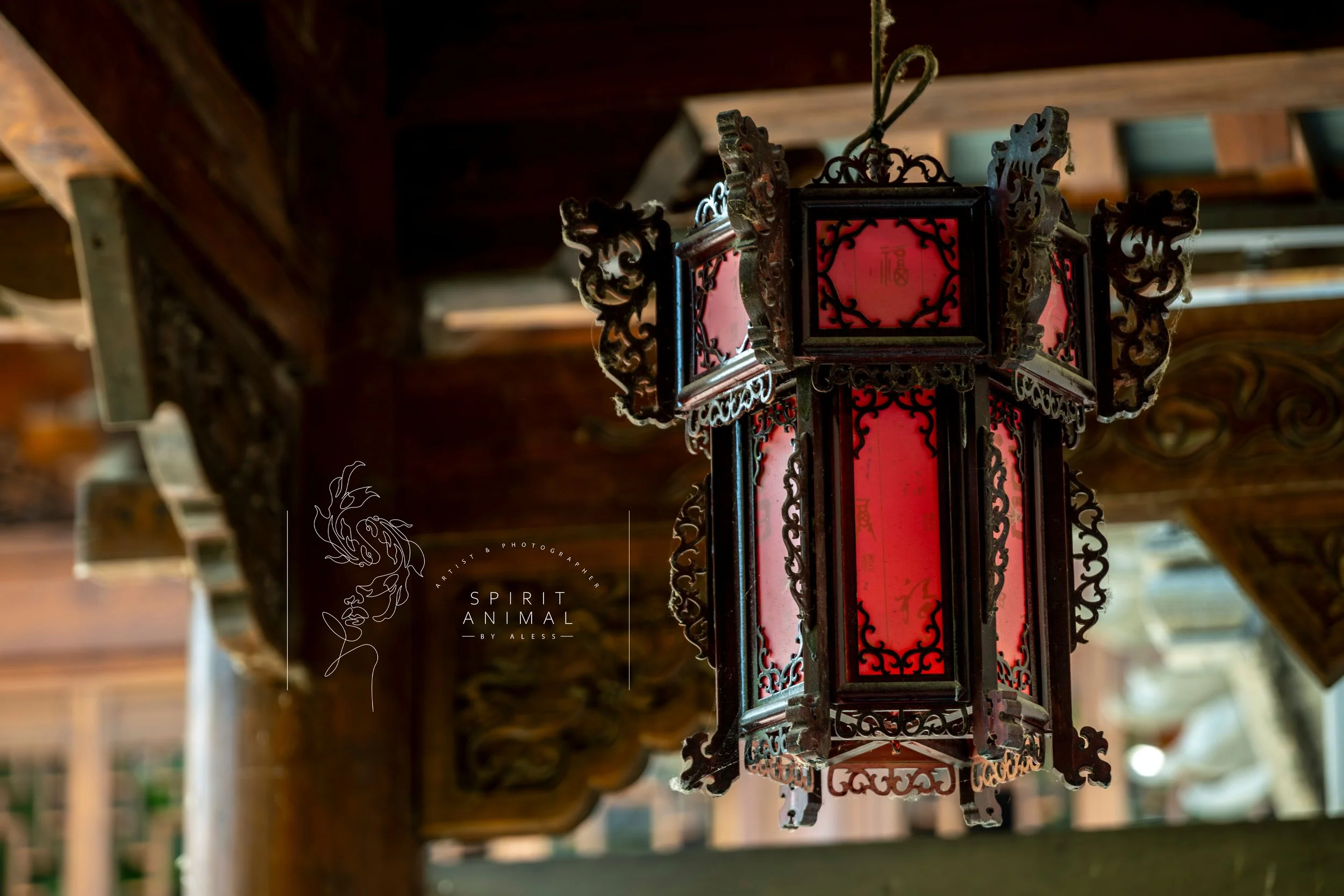 Chinesische Laterne mit roten Flächen und schwarzen kunstvollen Rahmen hängt in einem Raum mit Holzdecke, Fotografie von SPIRIT ANIMAL