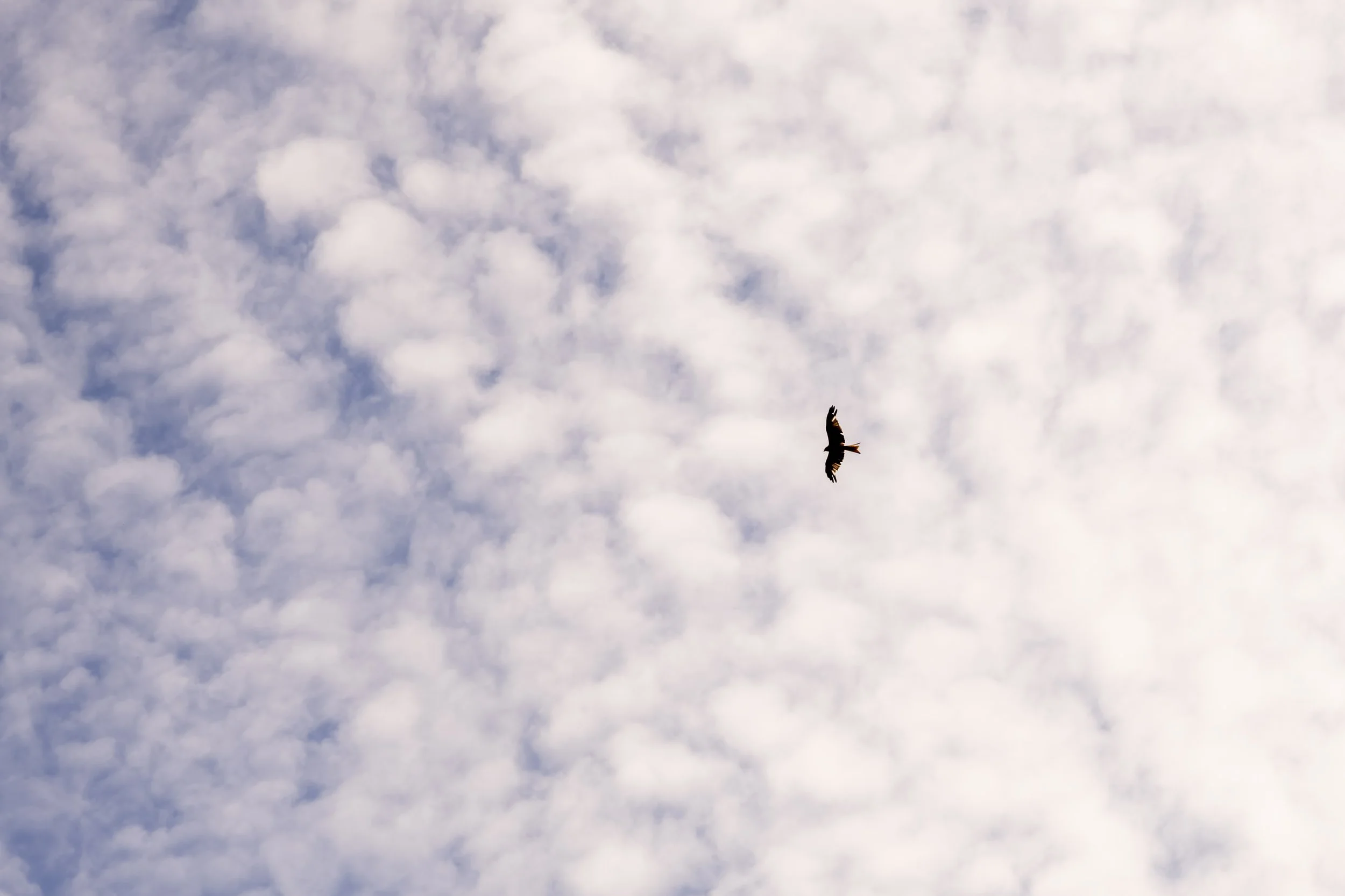 ALLE MOTIVE: Eine kuratierte Übersicht aller Motive – ideal, um Inspiration zu finden, Favoriten zu vergleichen und die Vielfalt meiner fotografischen Arbeit auf einen Blick zu entdecken.