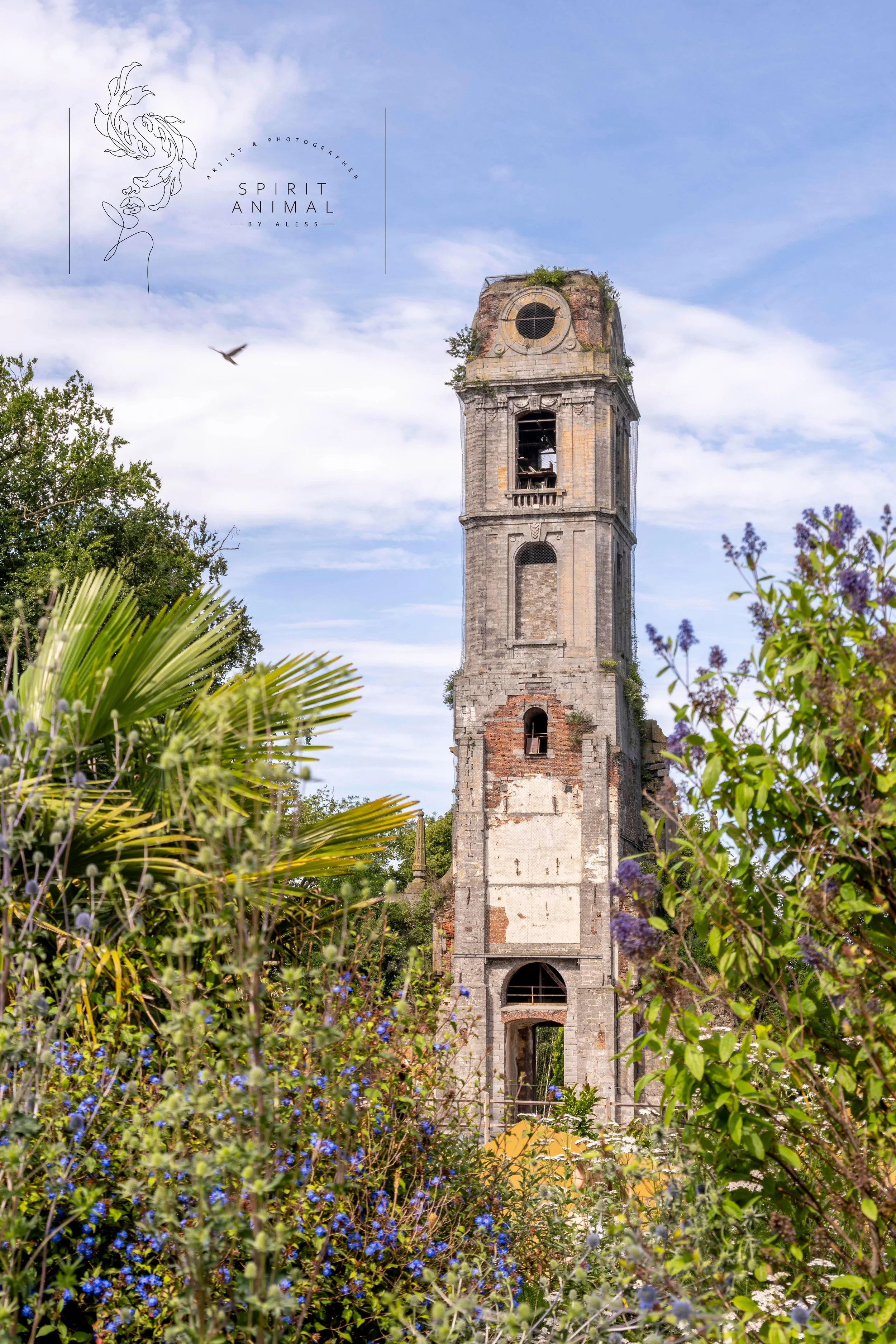 Verfallener Kirchturm mit überwucherten Fenstern und Pflanzen im Vordergrund, blauer Himmel mit Wolken im Hintergrund, Fotografie von SPIRIT ANIMAL