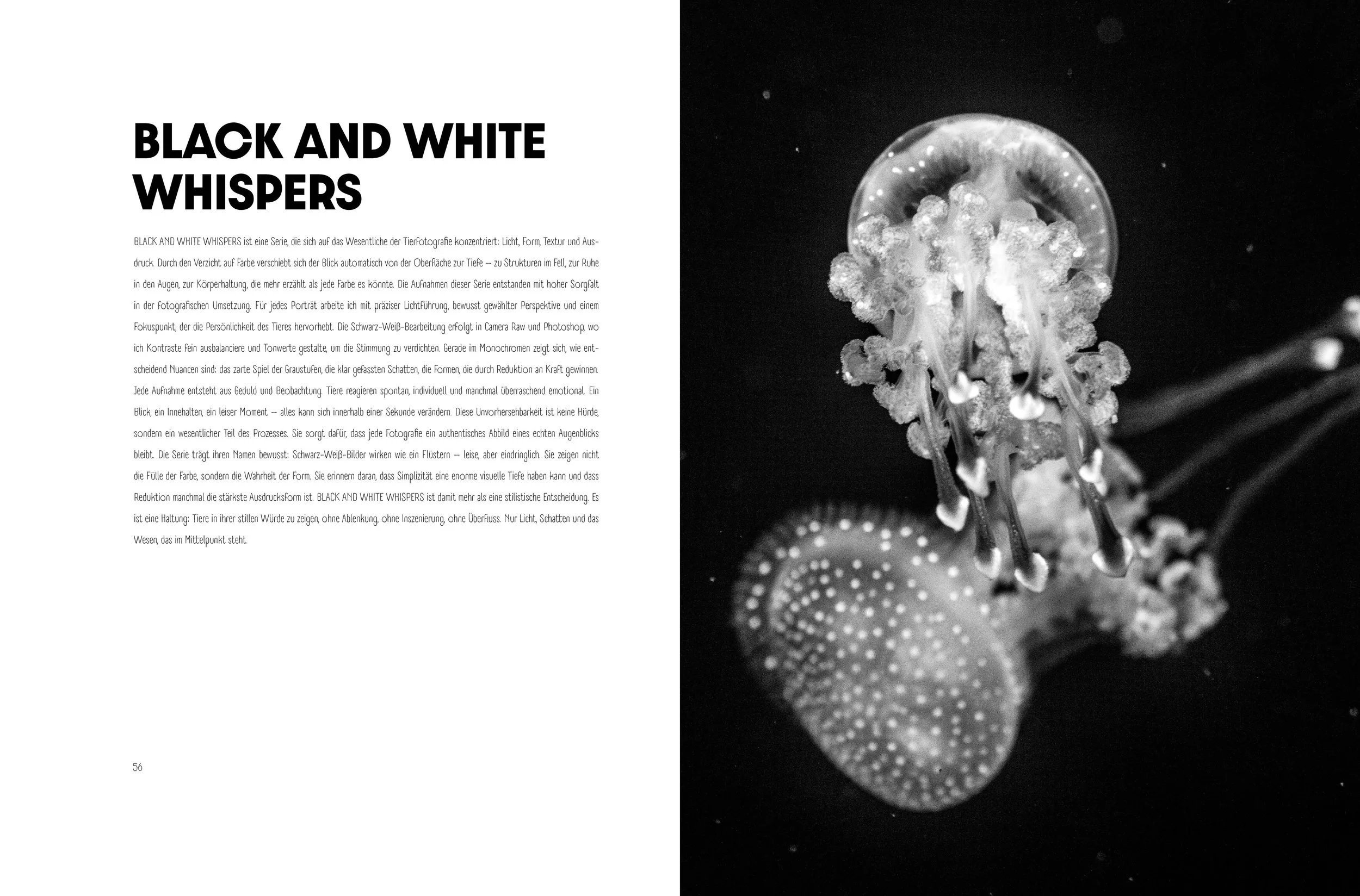 Doppelseite Portfolio. Links ein Text über das WILD REFLECTION BLACK AND WHITE WHISPERS Projekt der Inhaberin von SPIRIT ANIMAL. Rechte Seite: Nahaufnahme einer Quallenart in Schwarzweiß.