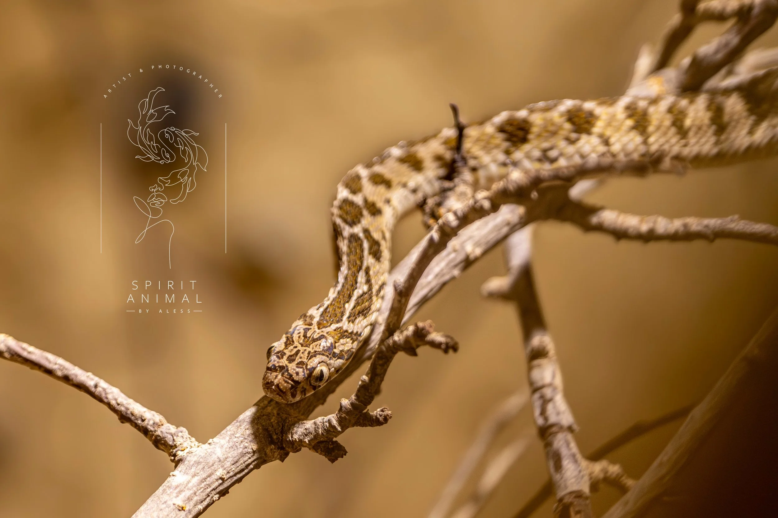 Nahaufnahme eines chamäleonartigen Reptils auf einem Zweig, mit einer grafischen Illustration eines Gesichts und Text "Spirit Animal by Aless"