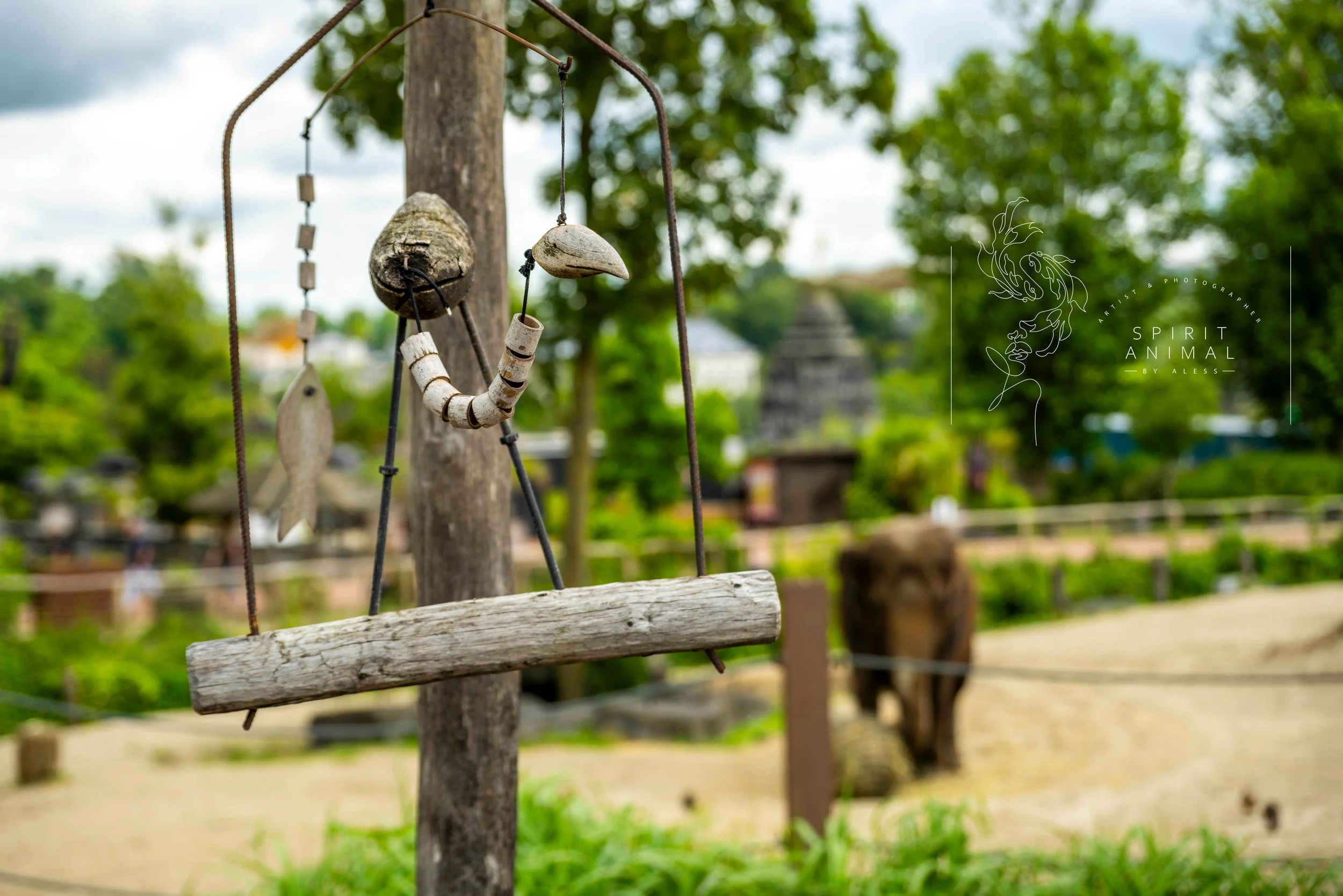 Ein hölzernes Windspiel hängt an einem Baum mit grünen Blättern, im Hintergrund ein Elefant im Zoo, Fotografie von SPIRIT ANIMAL