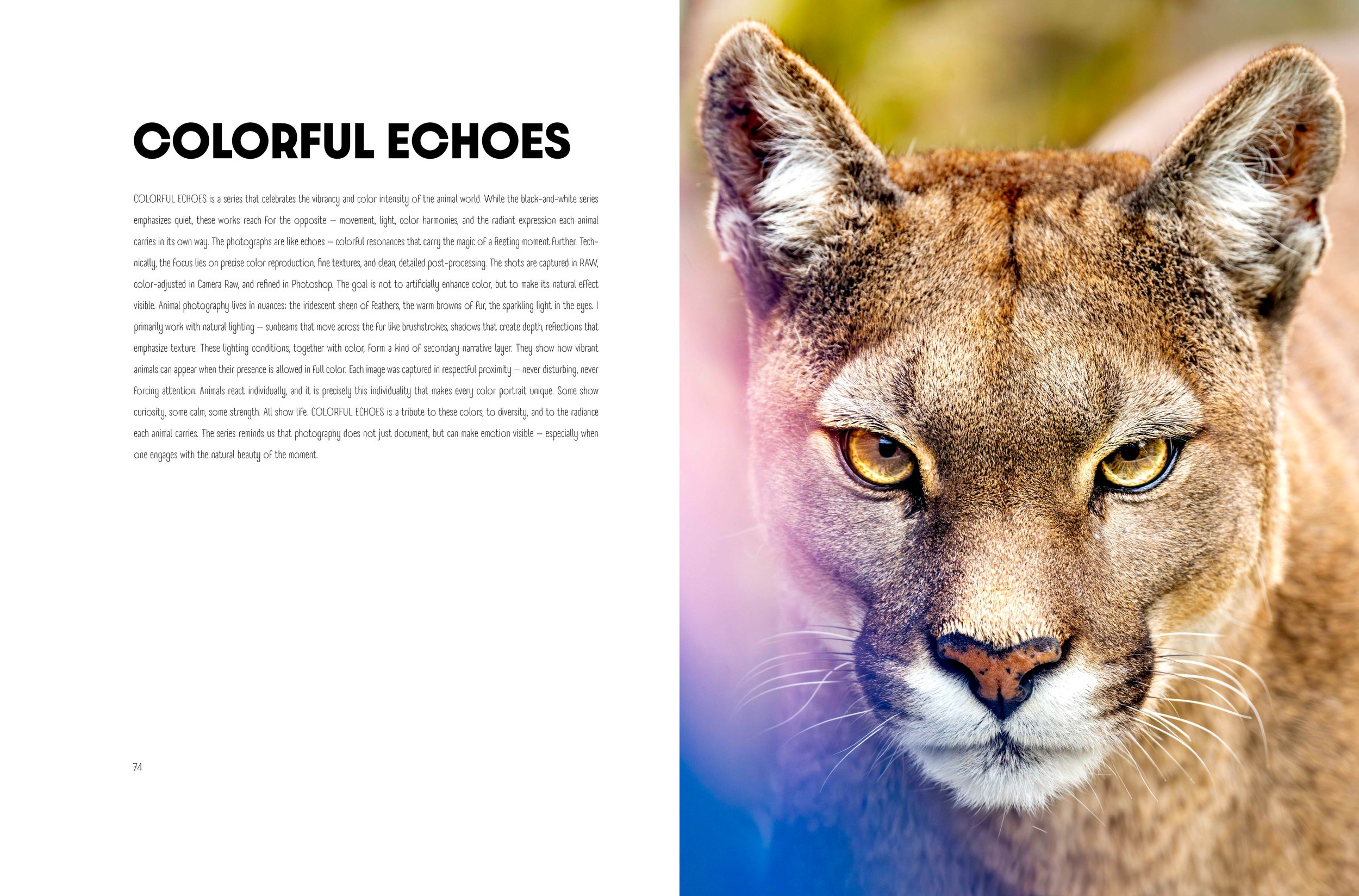 SPIRIT_ANIMAL_by_ALess_Venetz_Portfolio_Englisch_38.jpg