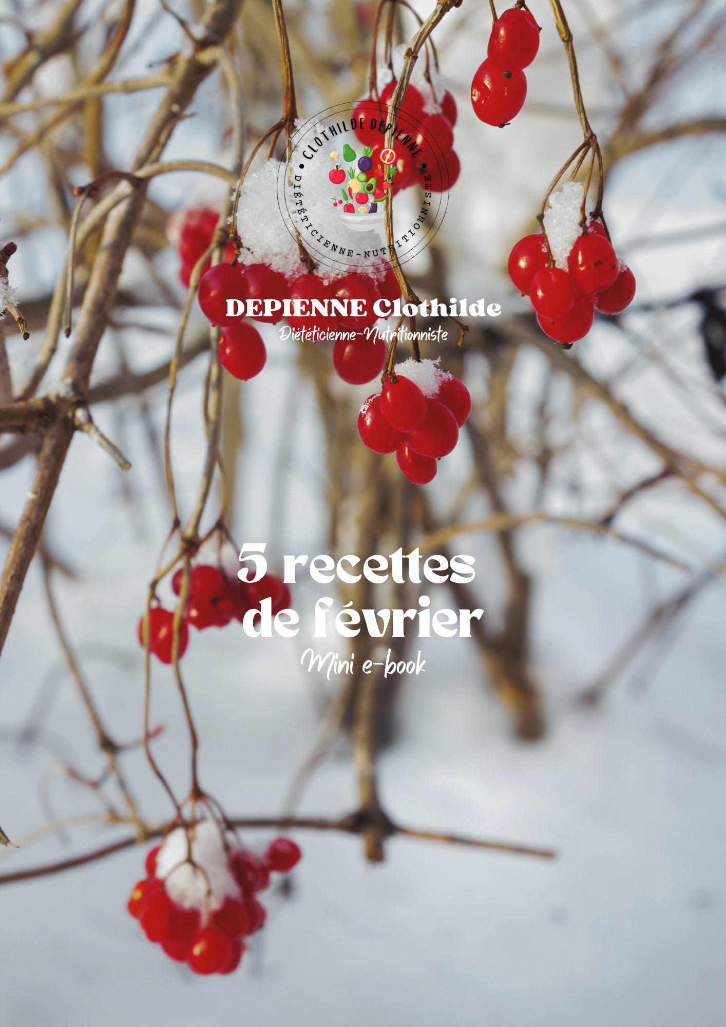 Mini ebook 5 recettes de février 🍫❄️