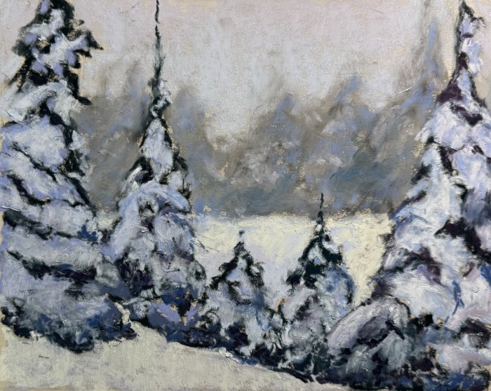 Snow on Spruce Boughs