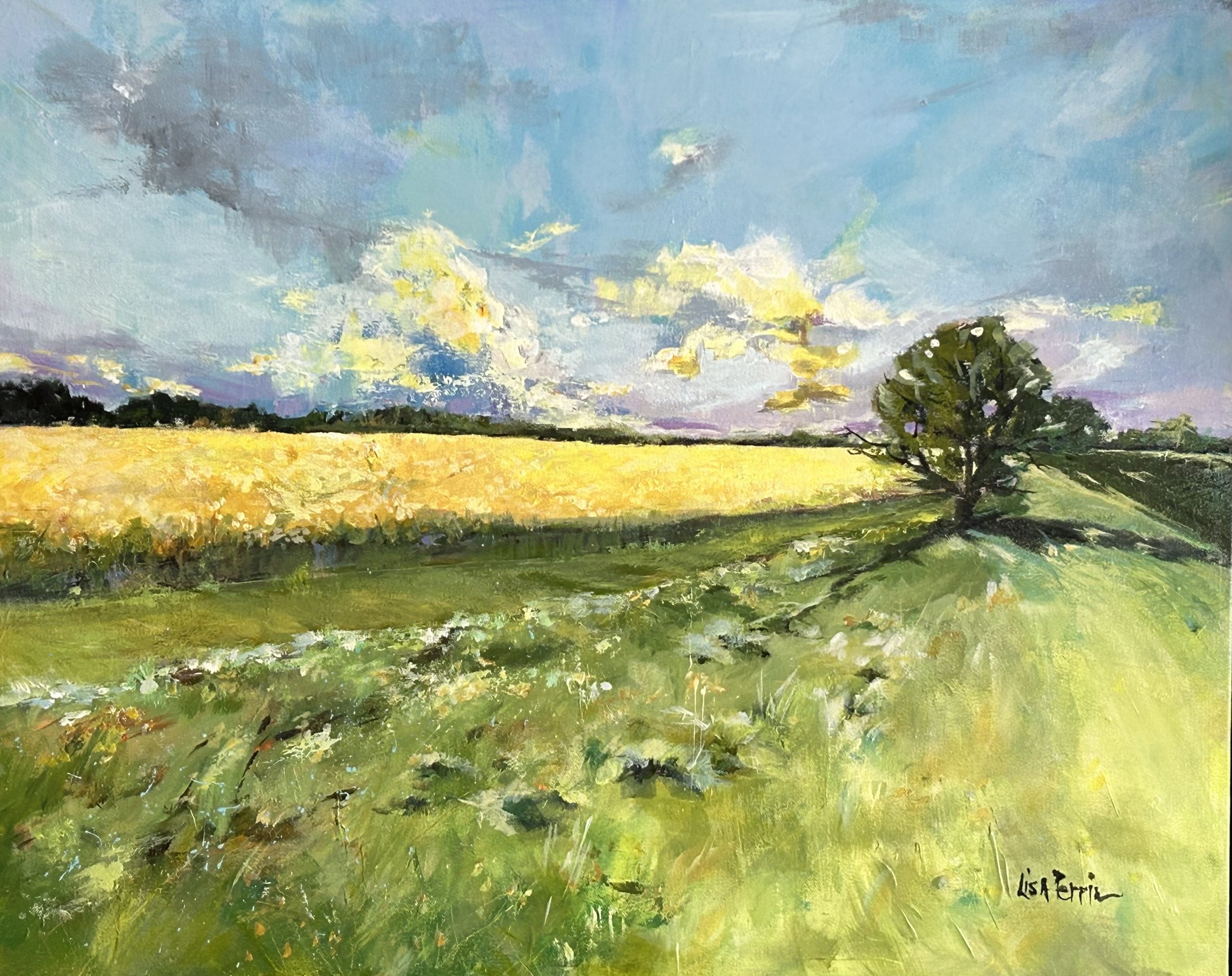 Fields of Gold
