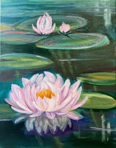 The Lotus Lily