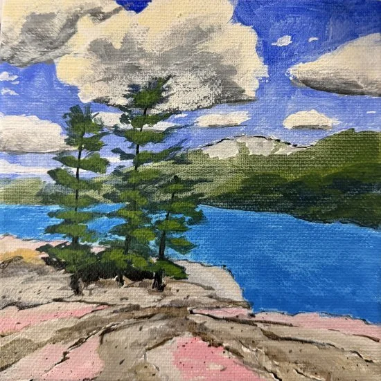 Killarney Pines
