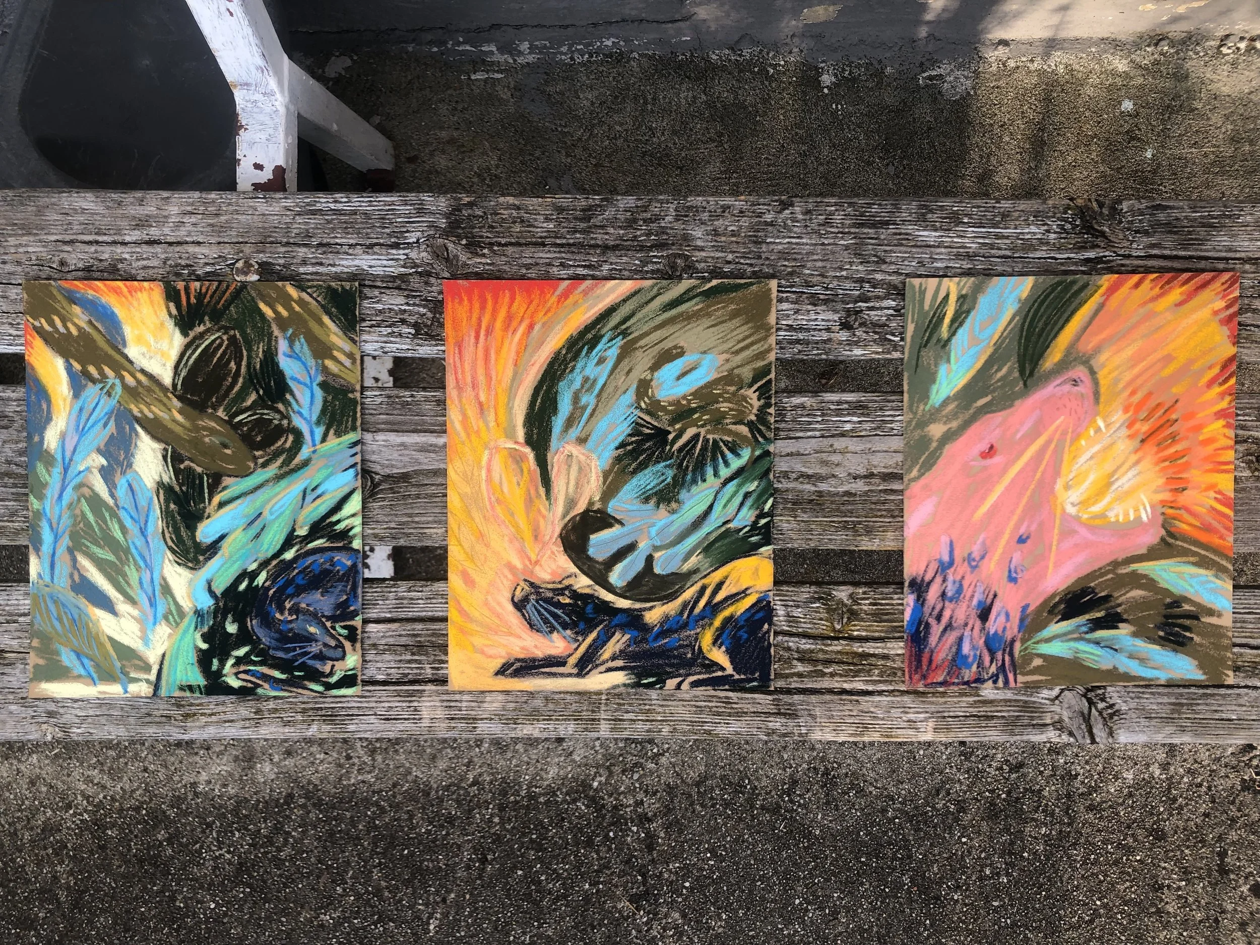 change is coming - 3 x 15x20 cm - soft pastels on sand paper - 300 €