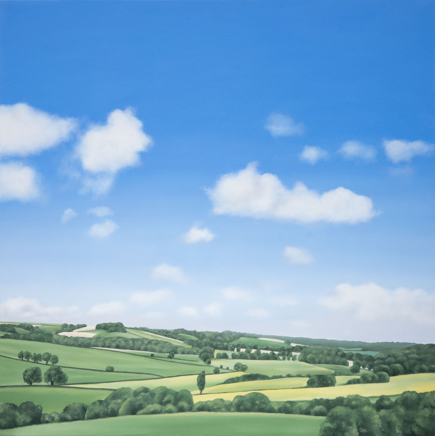 Summer-Hills-print-web.jpg
