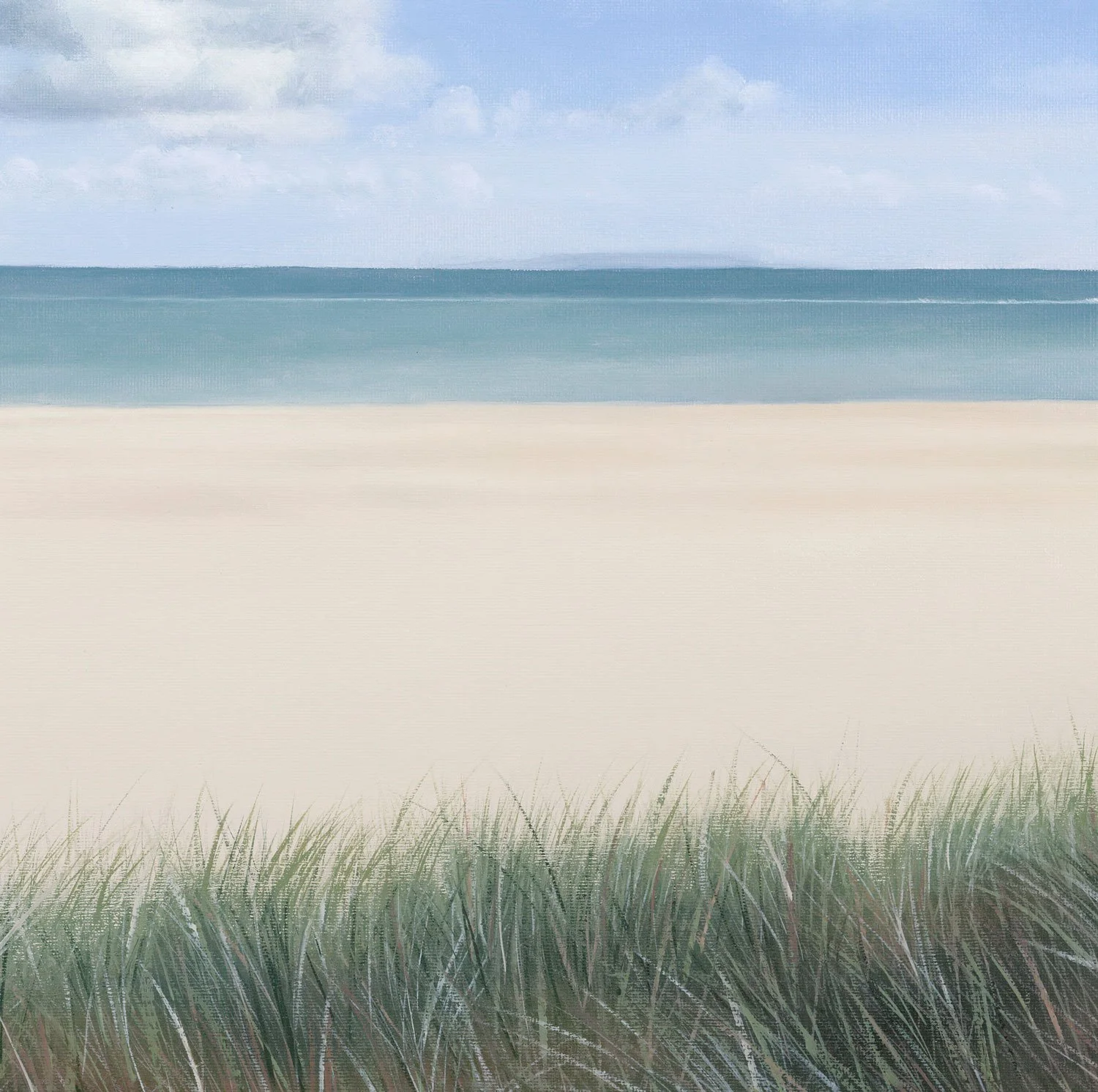 Studland-close-up.jpg