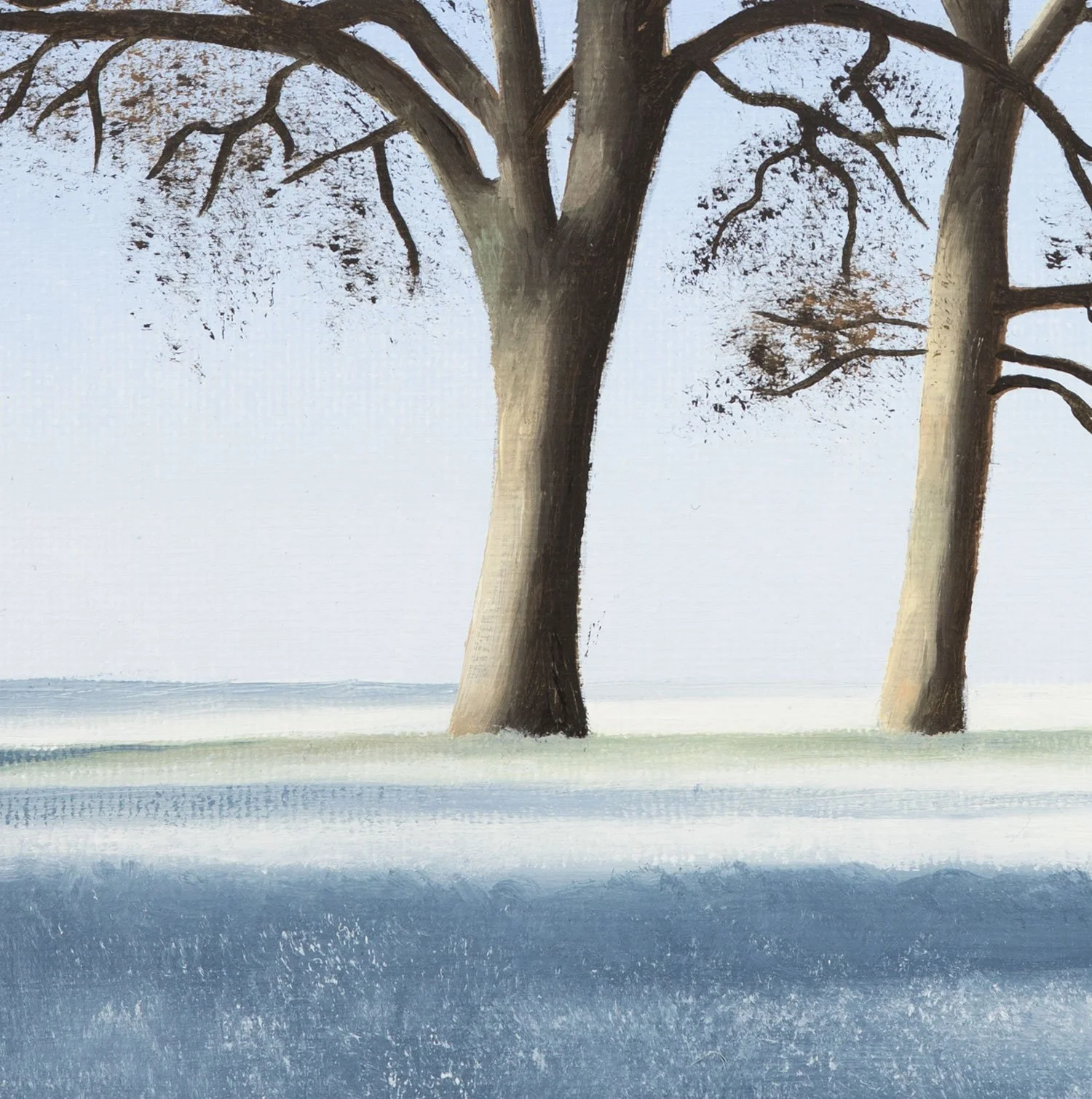 HL-Early-Morning-Frost-l-close-up.jpg