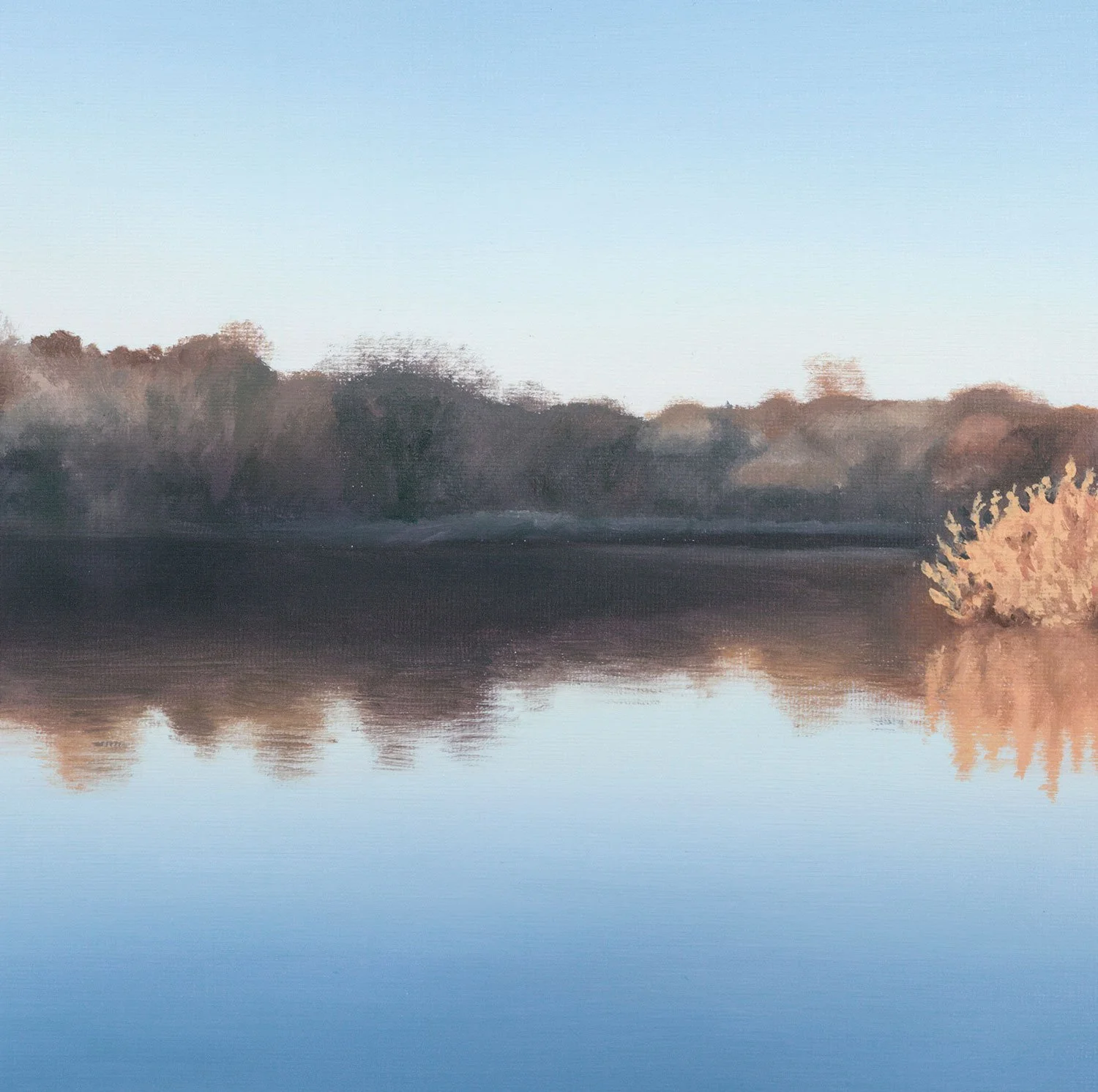 DintonPastures-close-up.jpg