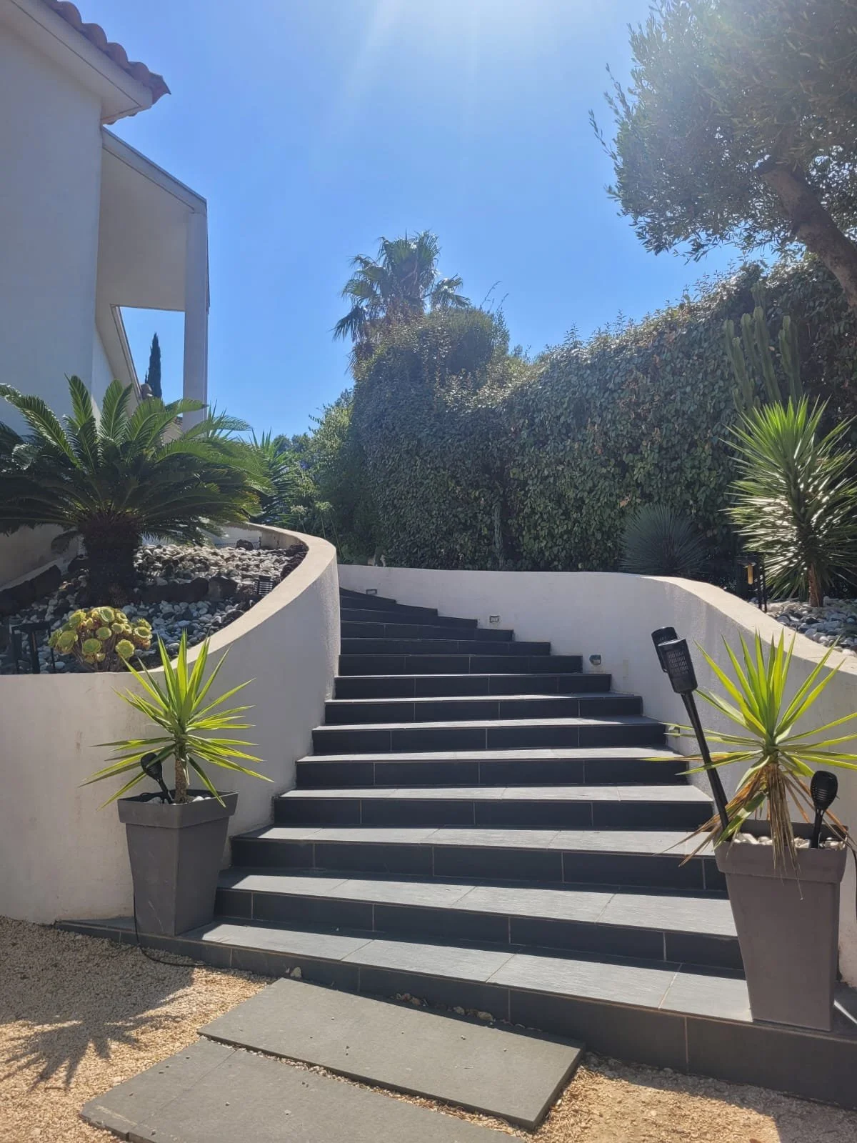 Escalier extérieur avec végétation tropicale, plantes en pot, et ciel ensoleillé.