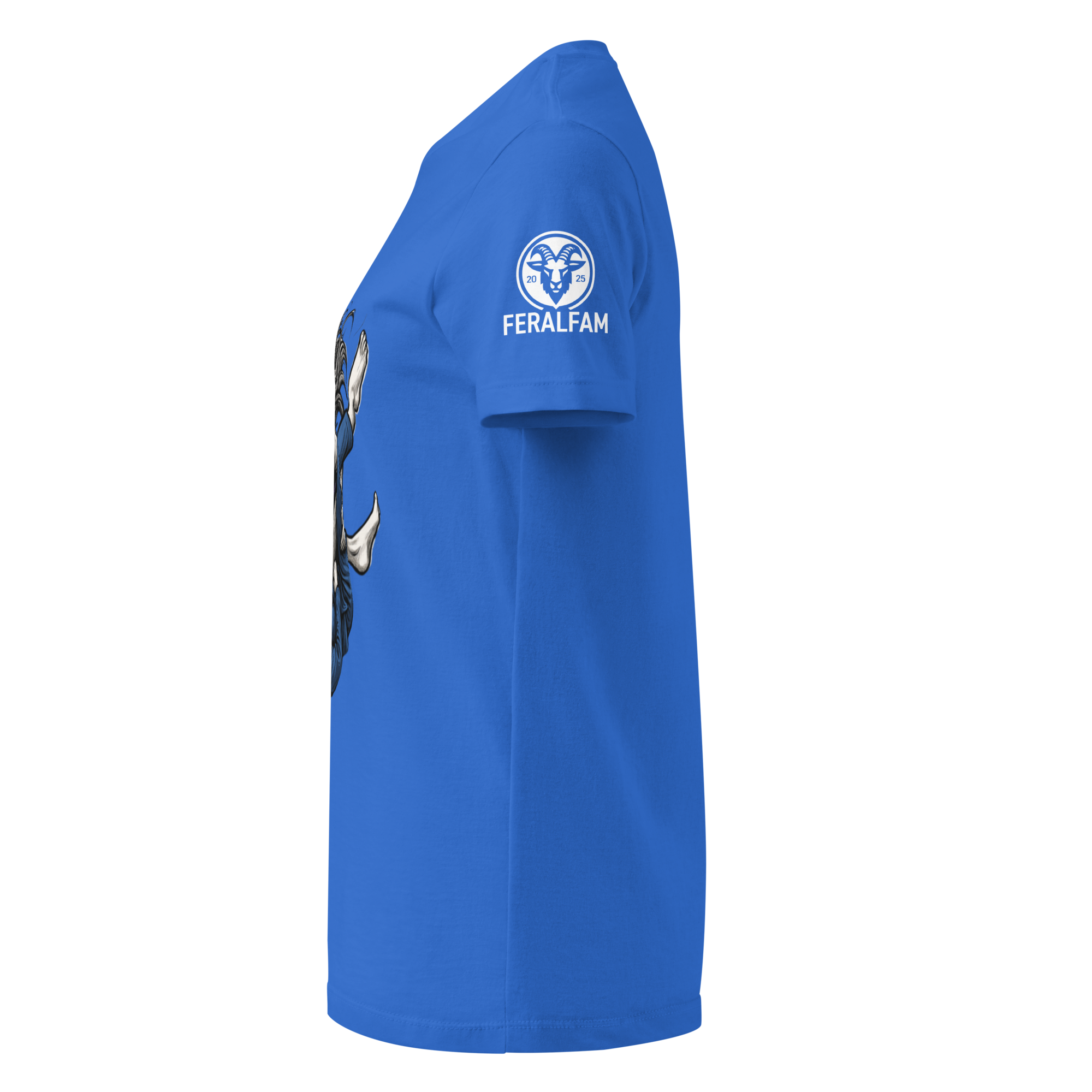 womens-basic-softstyle-t-shirt-royal-left-686c6d39c20f0.png