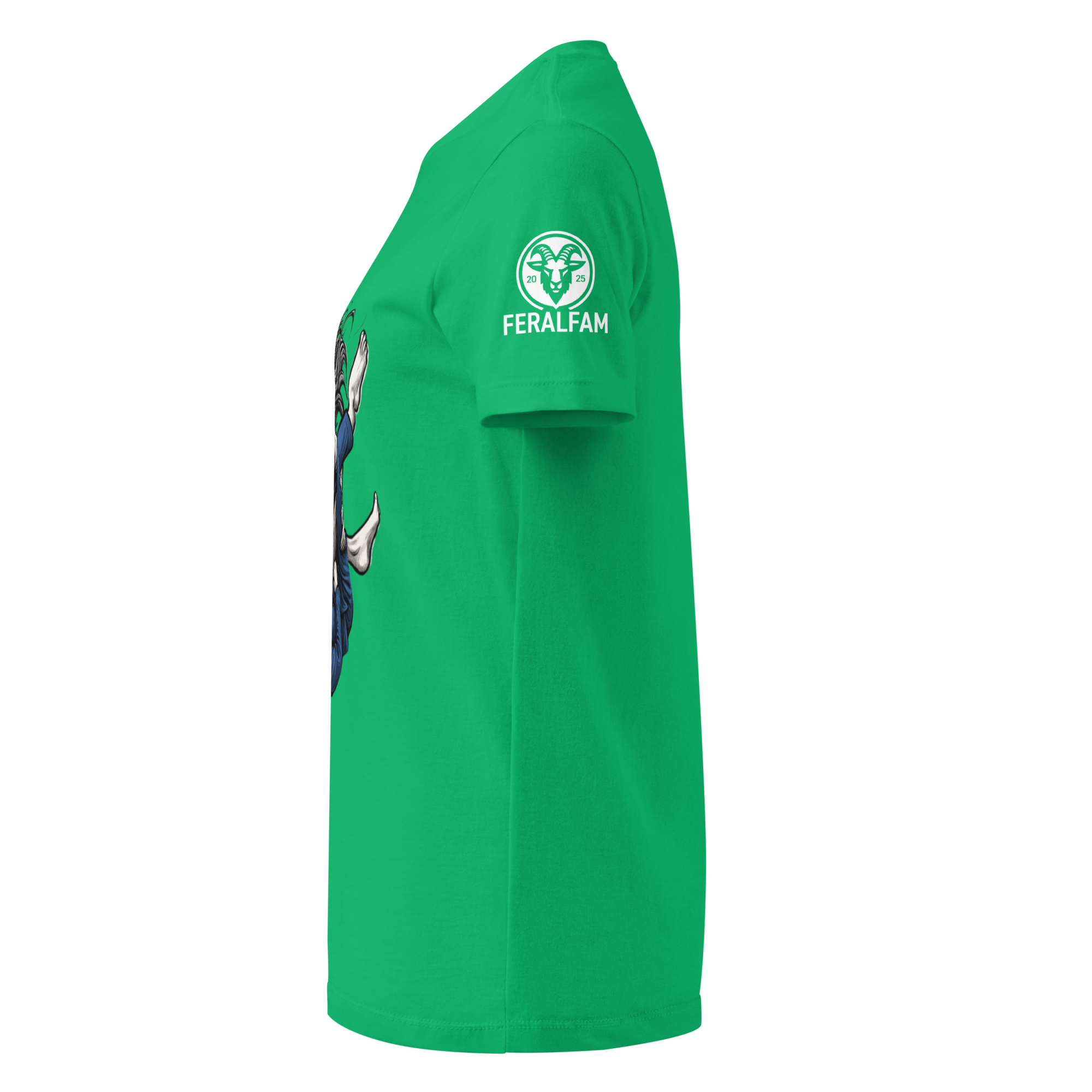 womens-basic-softstyle-t-shirt-irish-green-left-686c6d39c5c45.png