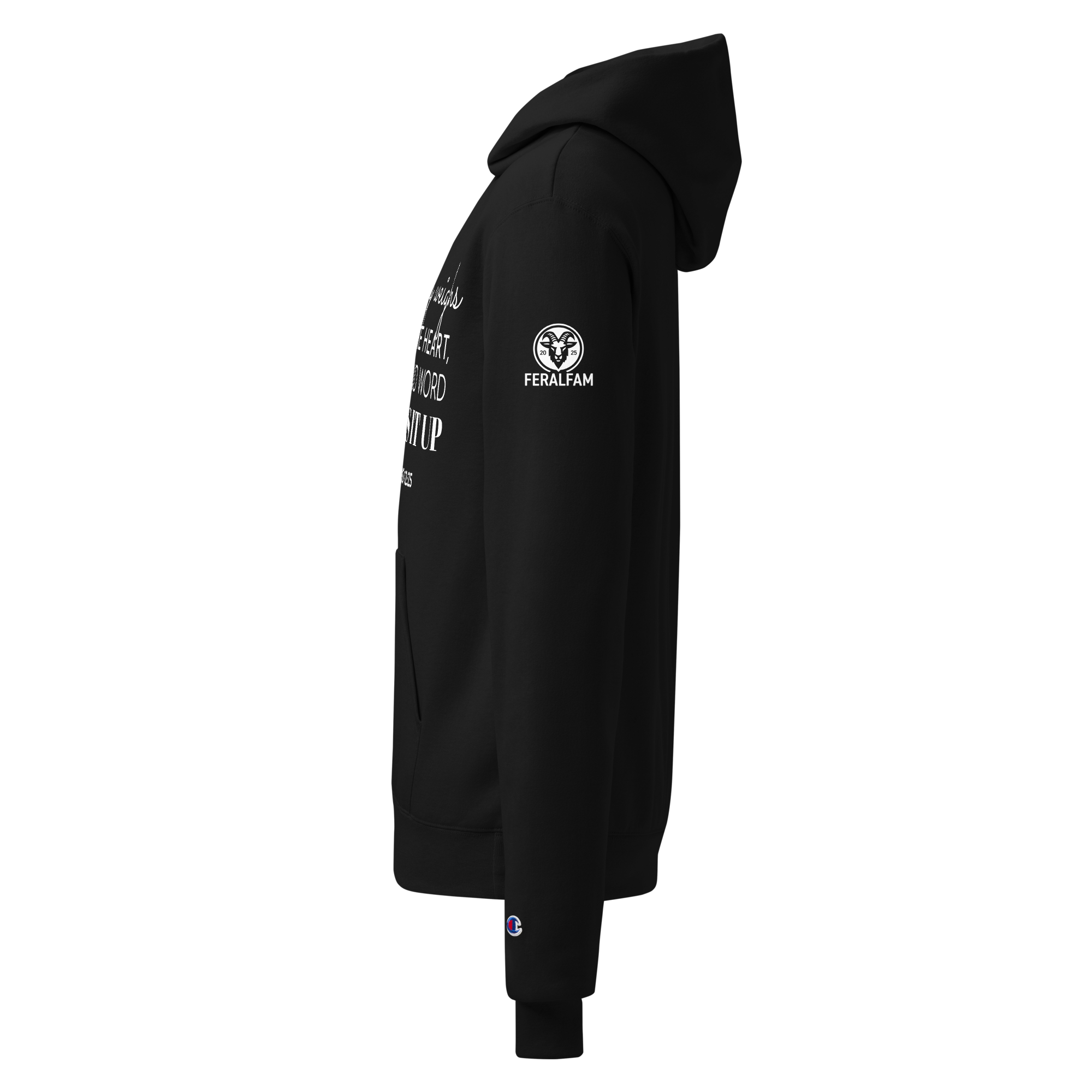unisex-champion-hoodie-black-left-687661bc6ecfb.png