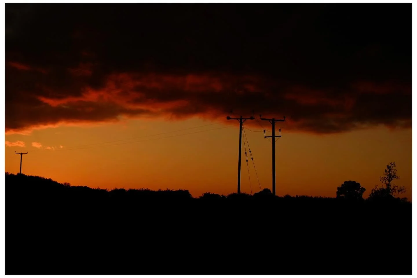 Electricity poles admiring the sunset #fujixt10