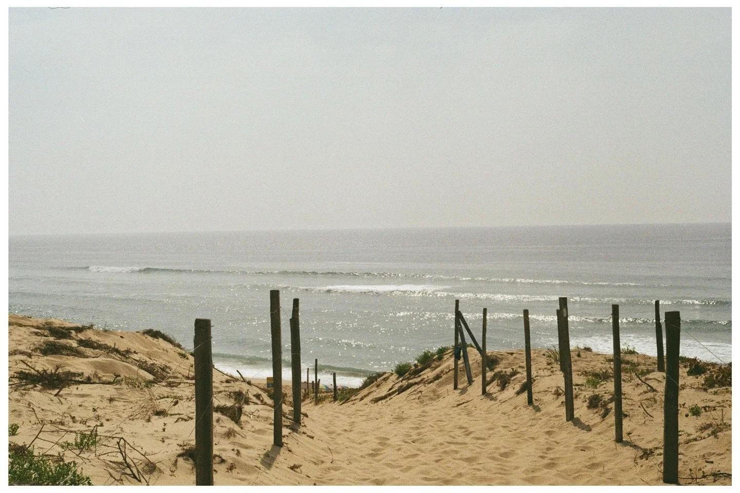 Home <3 #canonae1