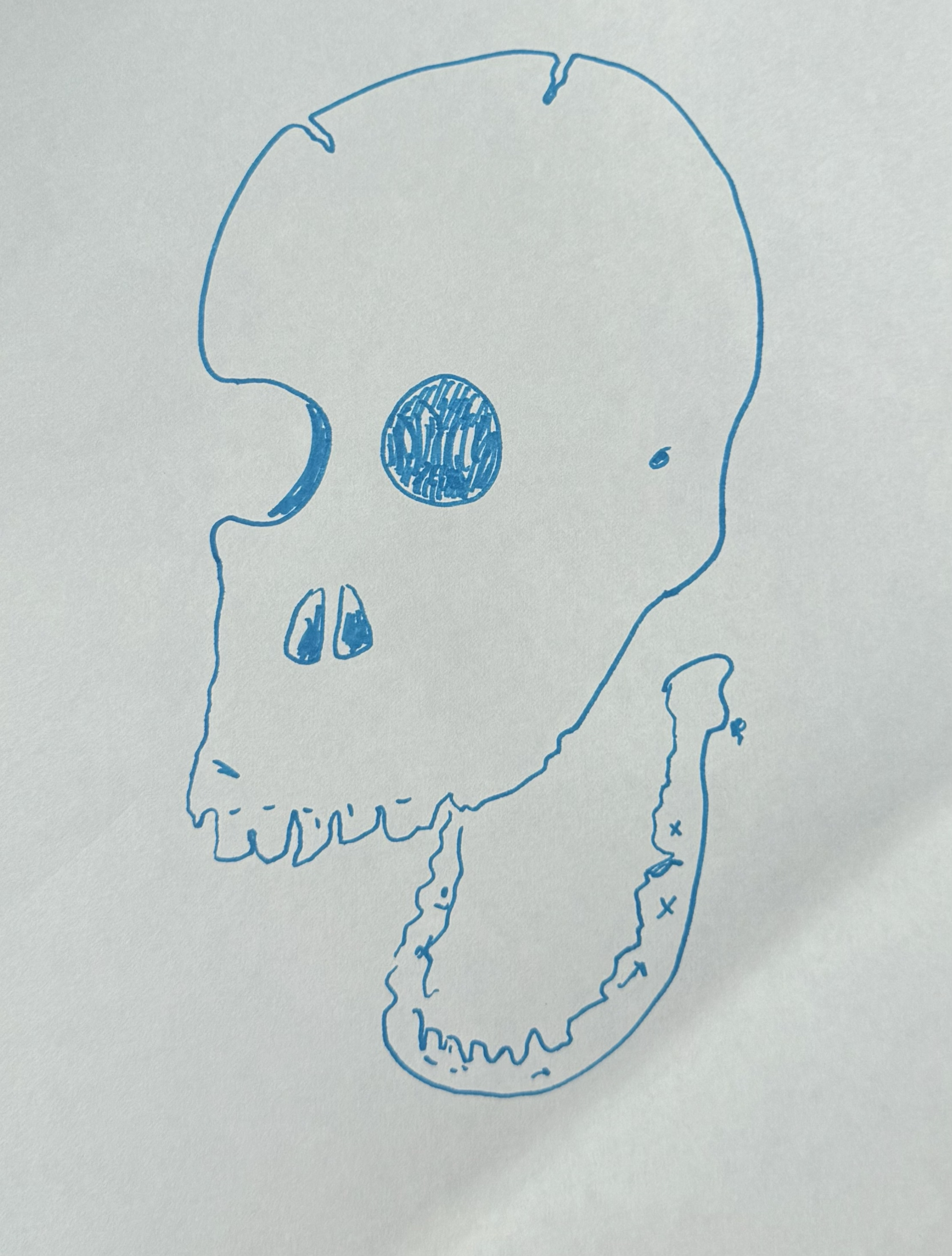 Self portrait 