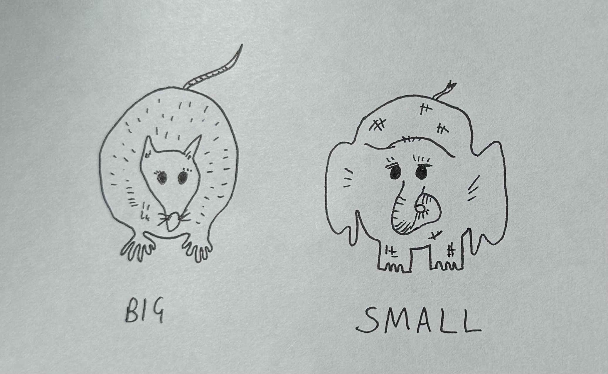 Rat and Elephant 
