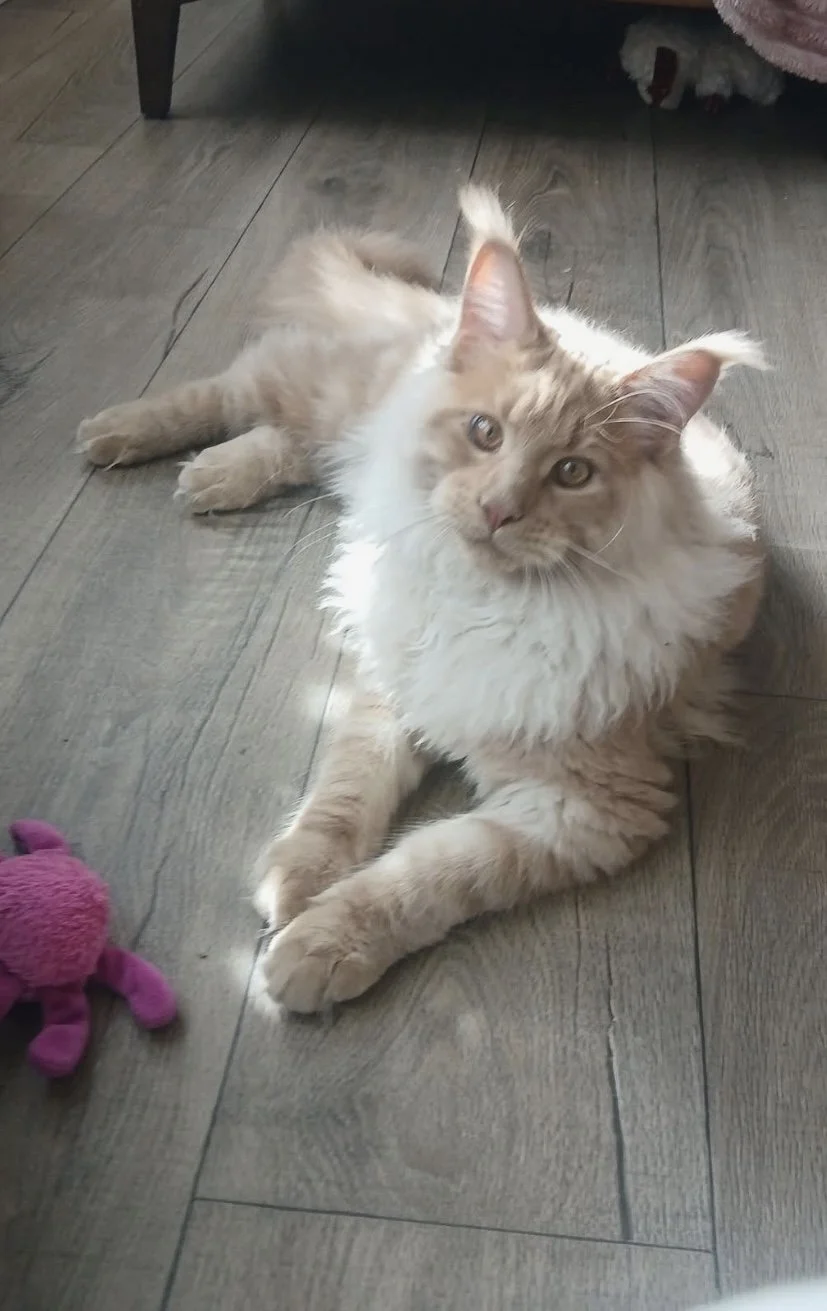 IMG_1052.jpg