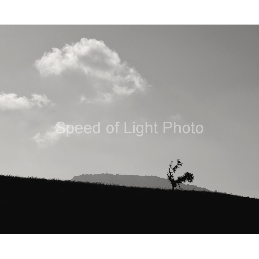image_original_ce00d7ddac9a9c38f63be5f681787c95.png