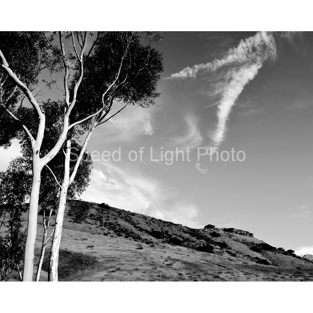 image_original_ce00d7ddac9a9c38f63be5f681787c95.png