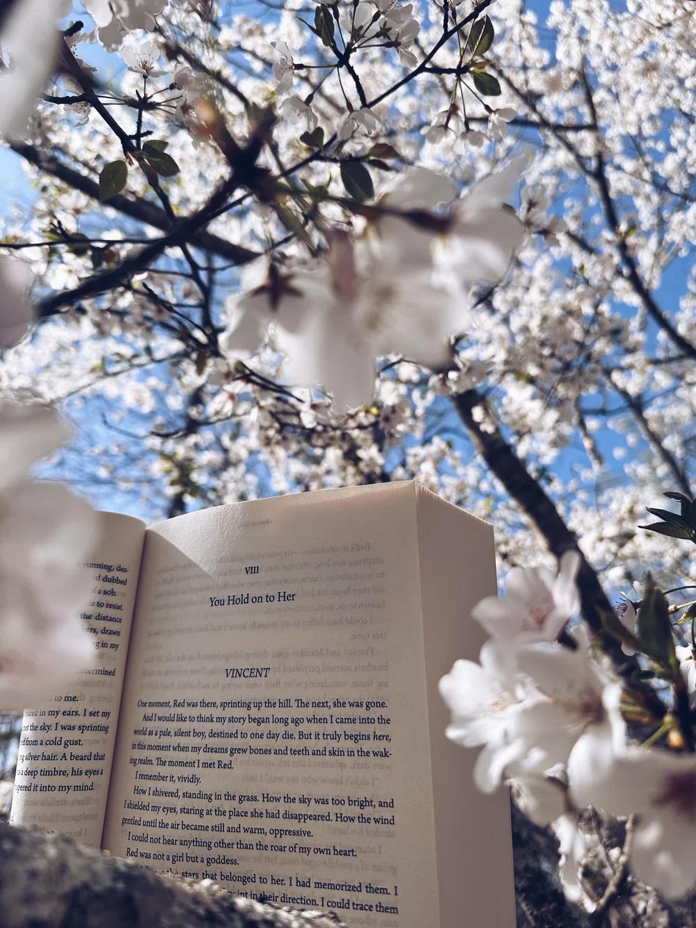 WILD REVERENCE — Rebecca Ross