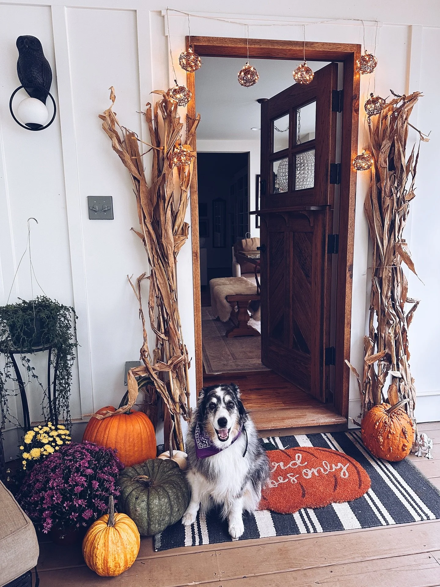 Snippets of October 🍂🕸️🎃🍁☕️🌝