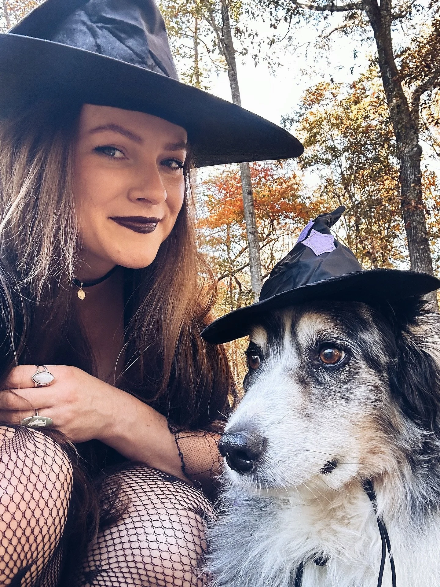 Happy Halloween! 🎃🍂🌝🕸️🕷️