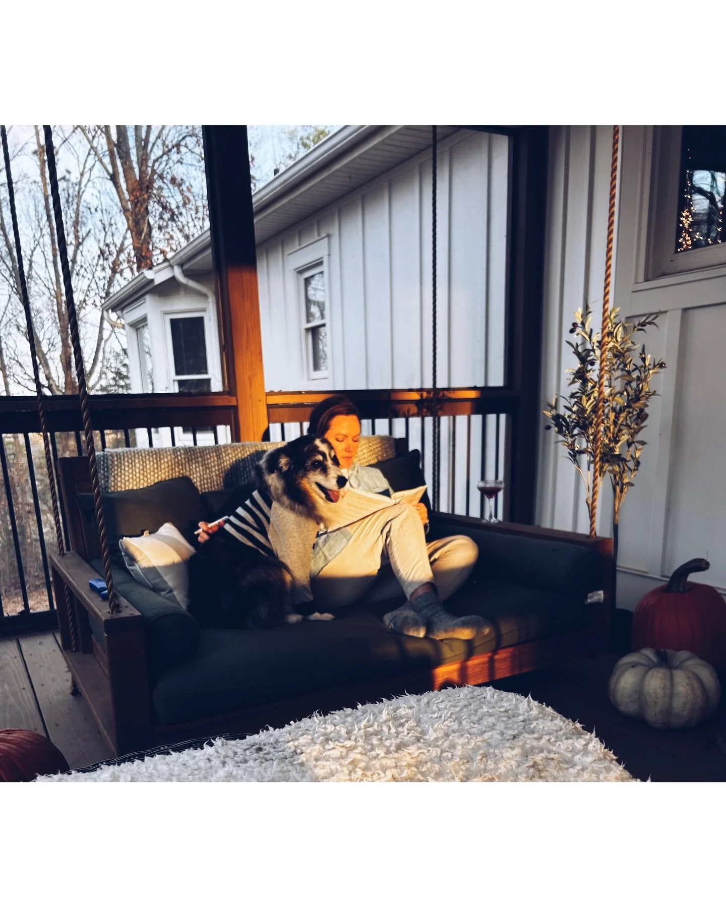 December snippets 🌲🌲🌲

Finished the first draft of my next book
Went on a lot of walks
Watched a lot of movies 
Decorated early and perfected homemade eggnog
Baked some new recipes 
Read some fabulous books 
Hosted my 3rd Annual Dinner &amp; Book 