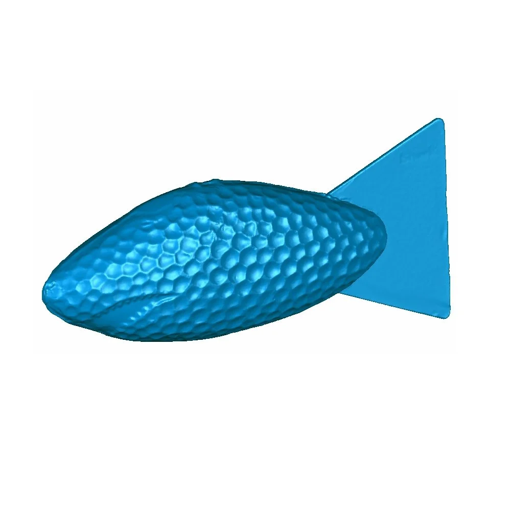 self-serve-scan-sample-fish-large-3d-scanner.jpg