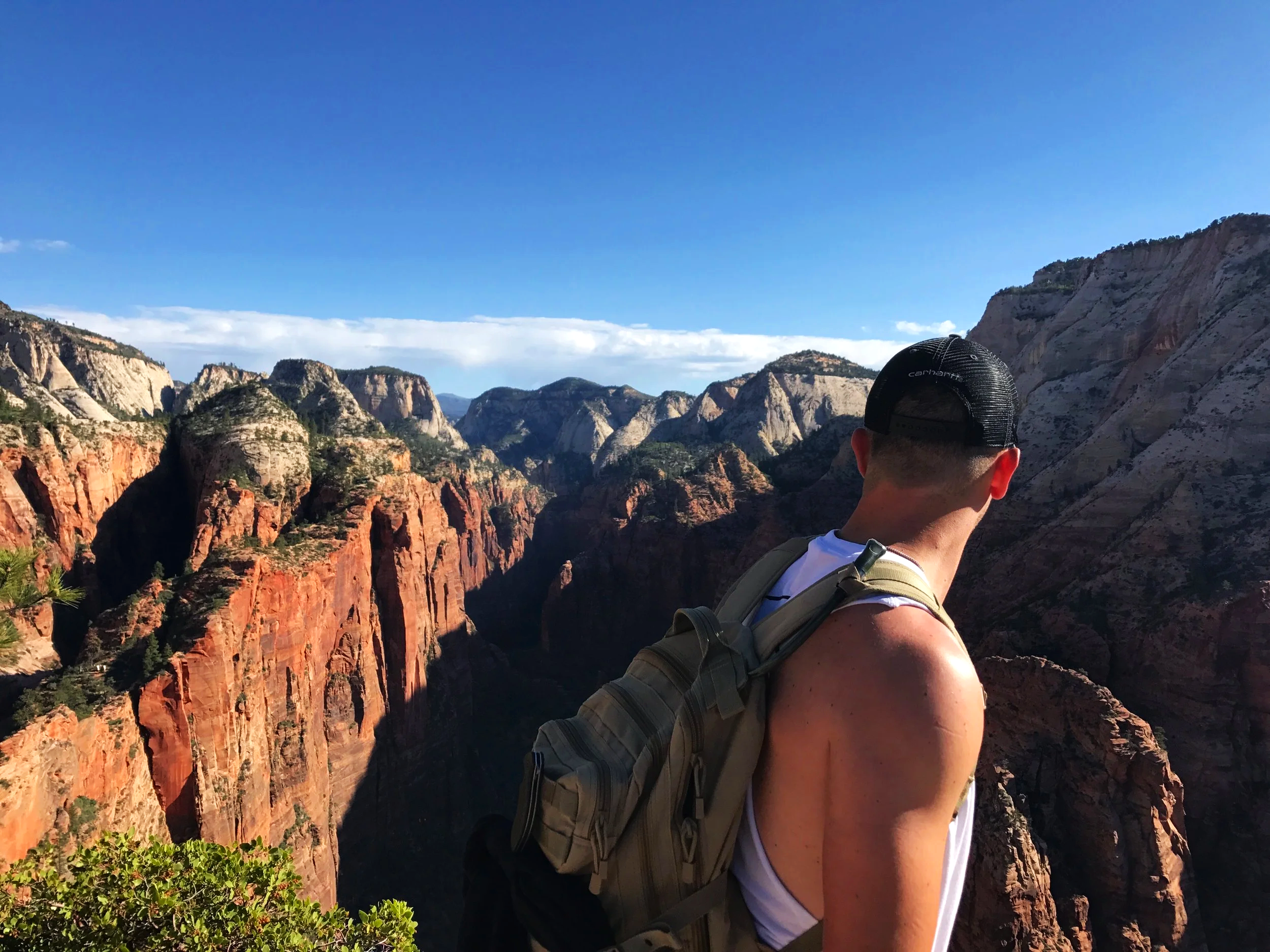 Zion National Park canyon view with red rock formations, cliffs, and green valley.