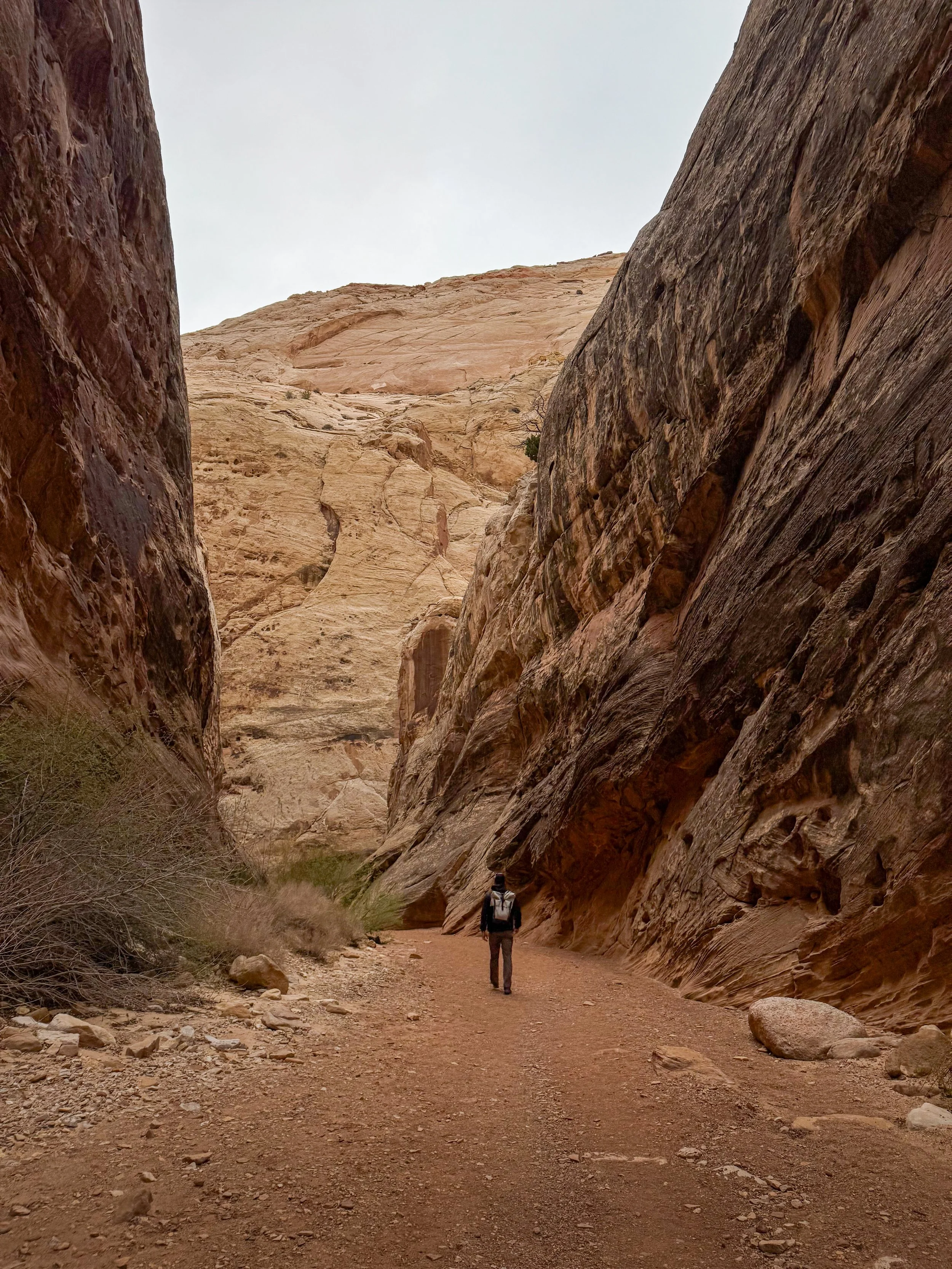 Grand Wash in Capitol Reef National Park