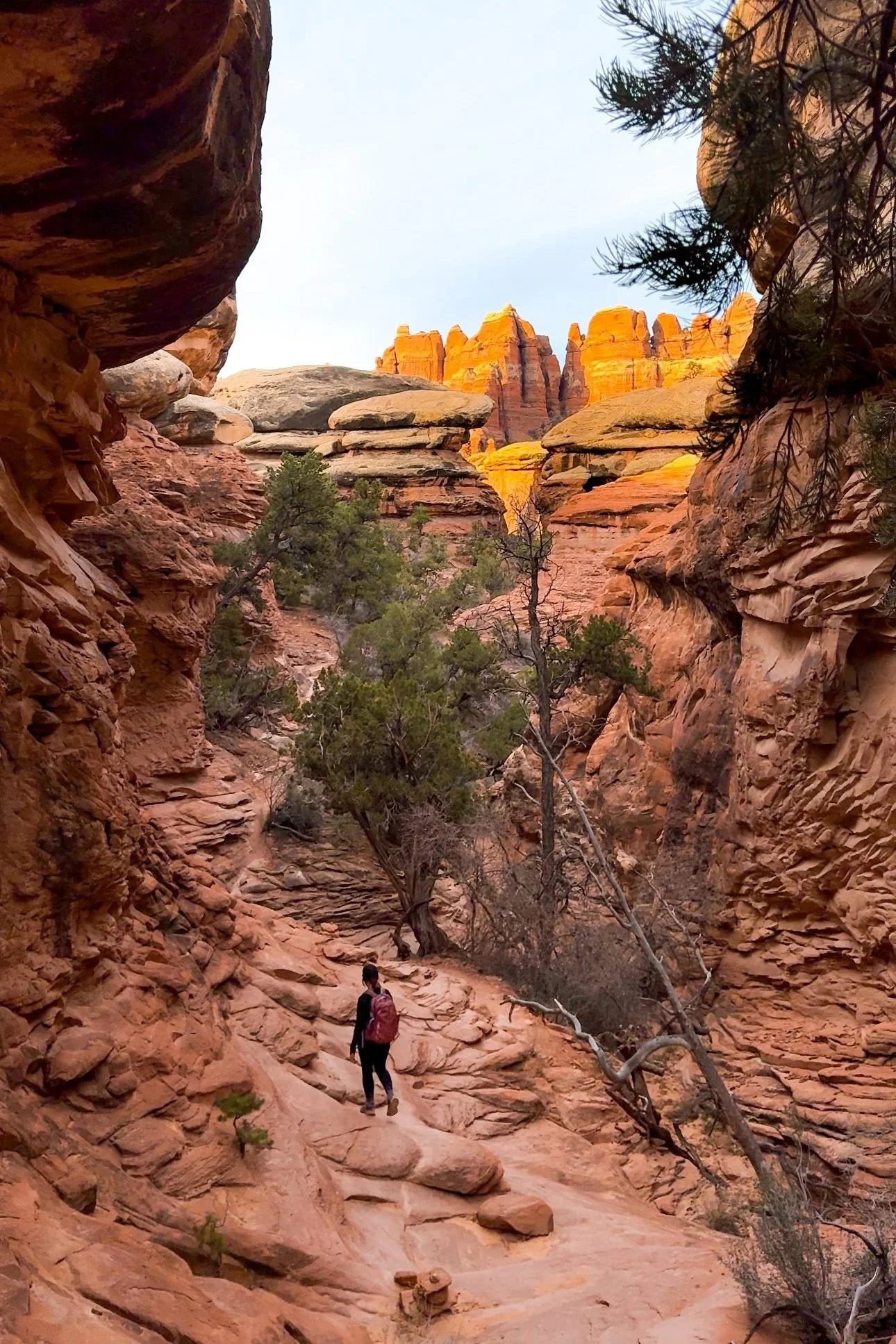 canyonlands national park hiking