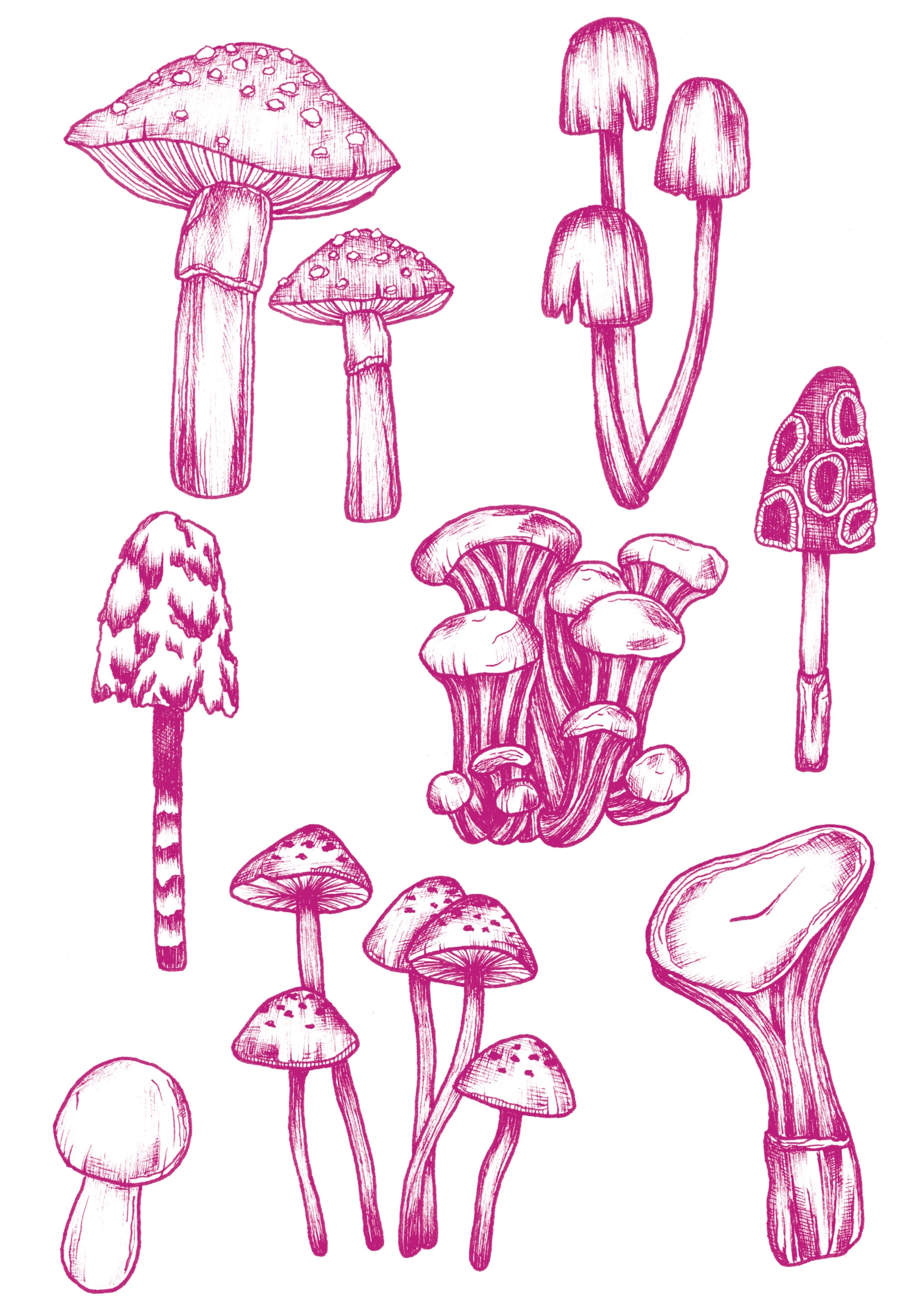 mushroom print JPEG.jpg