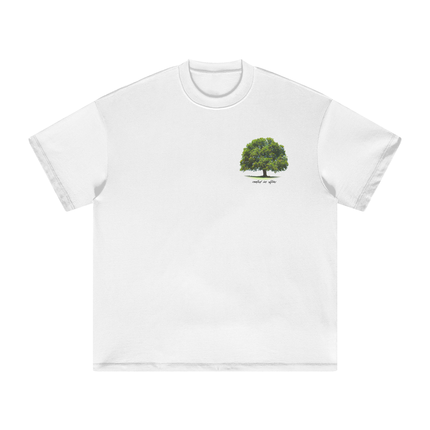 squarespace-upload-temp-2025-05-04-c2896c3f-0854-44bc-a894-2e1b60c44a0c2742173497963354430.png