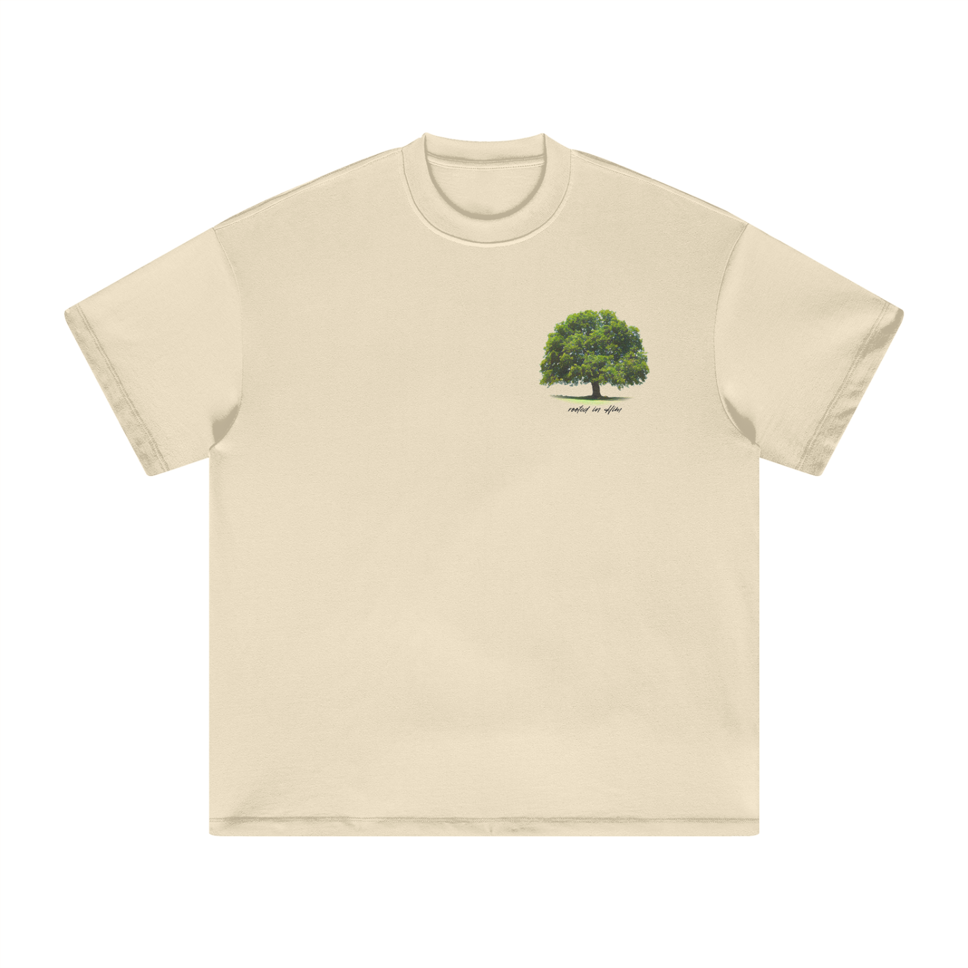 squarespace-upload-temp-2025-05-04-ad35afa7-6a71-4afc-b944-e2b32f484bdf9144475608345601753.png