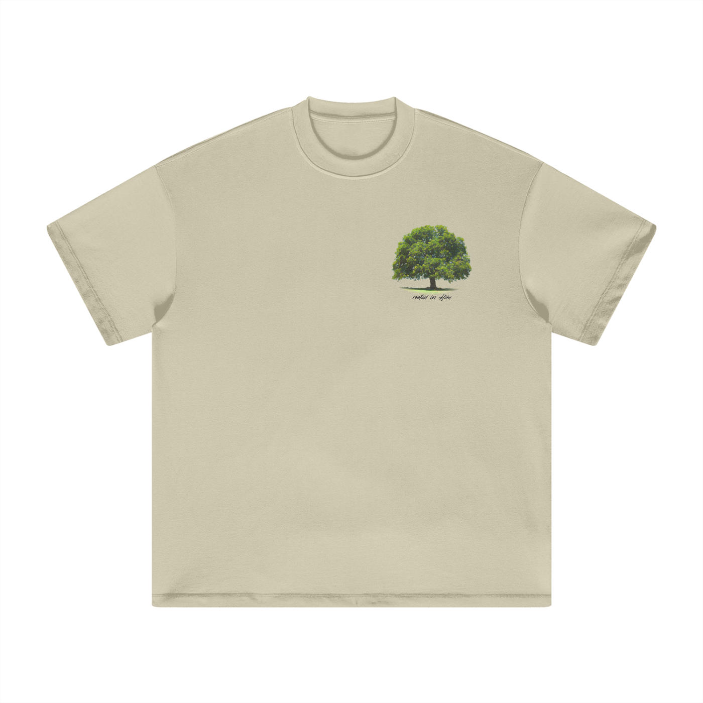 squarespace-upload-temp-2025-05-04-9ef0dfc8-dcc9-4297-9cb2-e45e3ee2de12941964400012887307.png