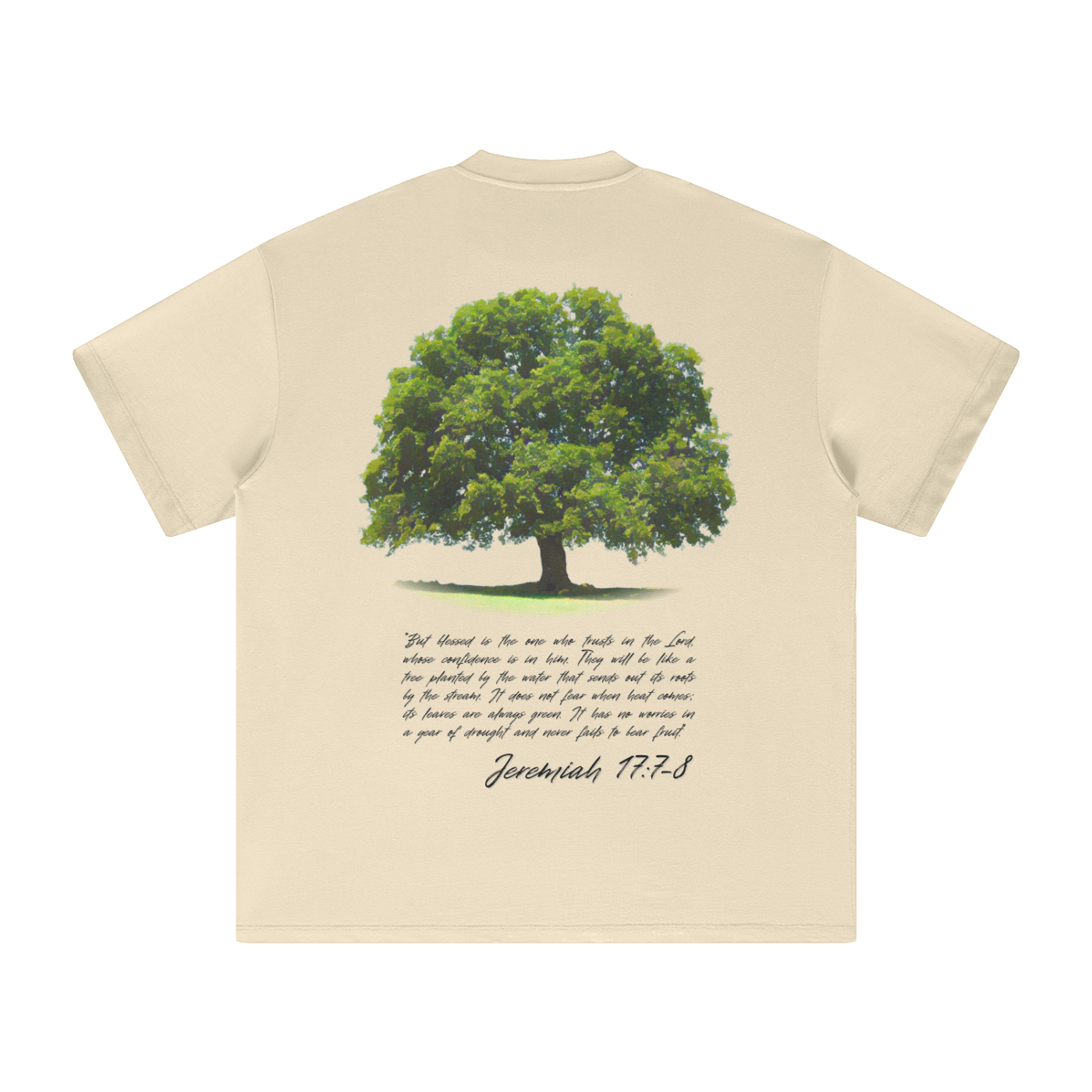 squarespace-upload-temp-2025-05-04-42a39fd9-0e81-4d04-b72e-5ff1e23d3d6a8503924459087125881.png