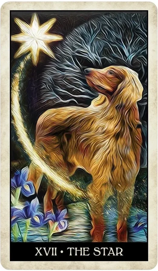 dog2.webp