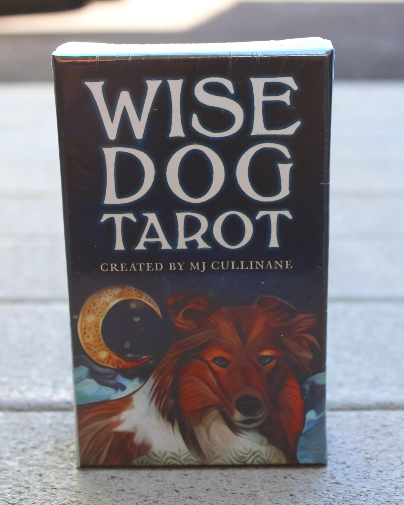 Wise Dog Tarot