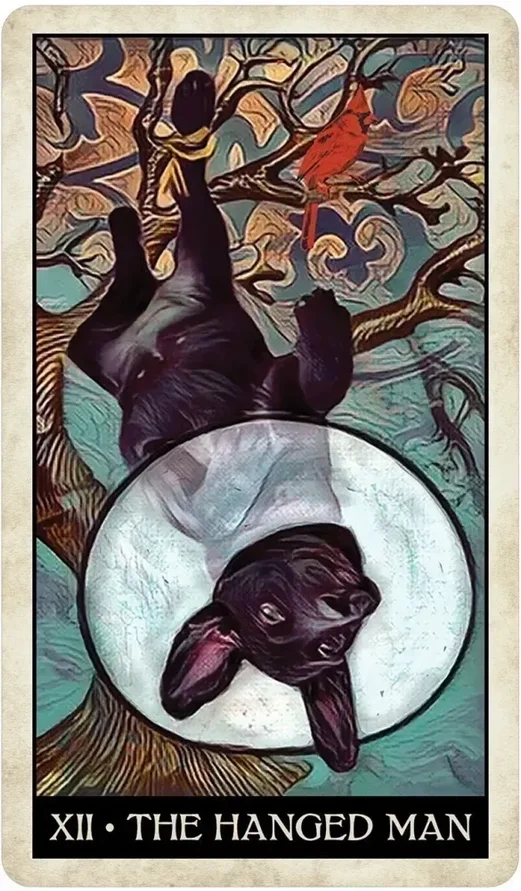 dog3.webp