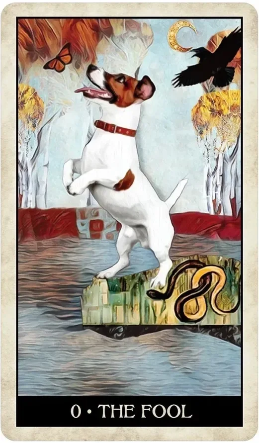 dog1.webp