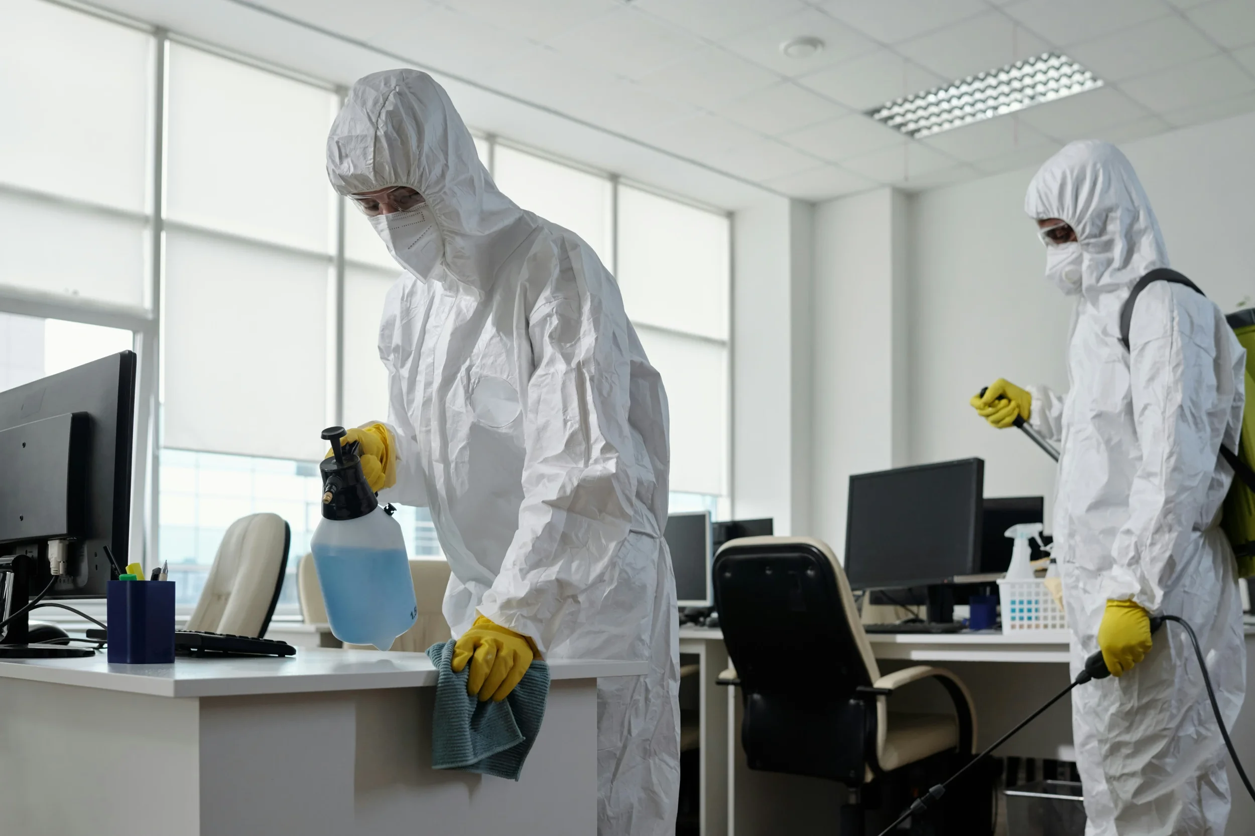 How to Protect Your Home's Beauty From Unwanted Pests: A Practical Guide for Homeowners