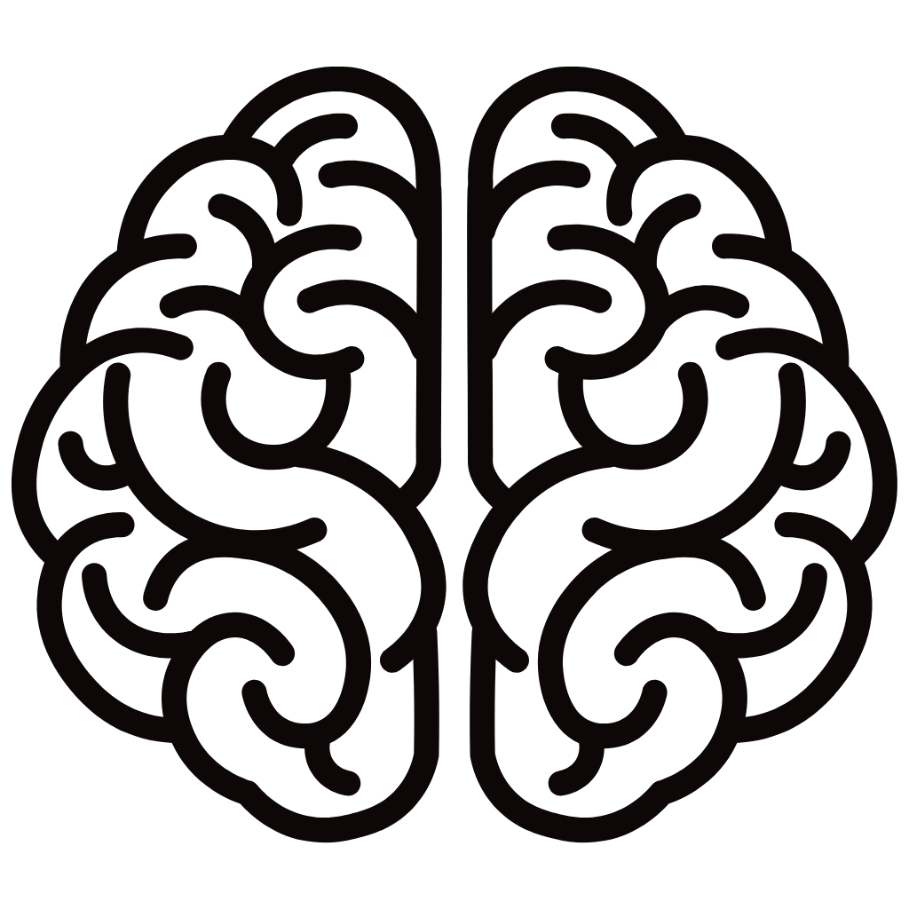 Outline of a human brain with internal folds and structures.